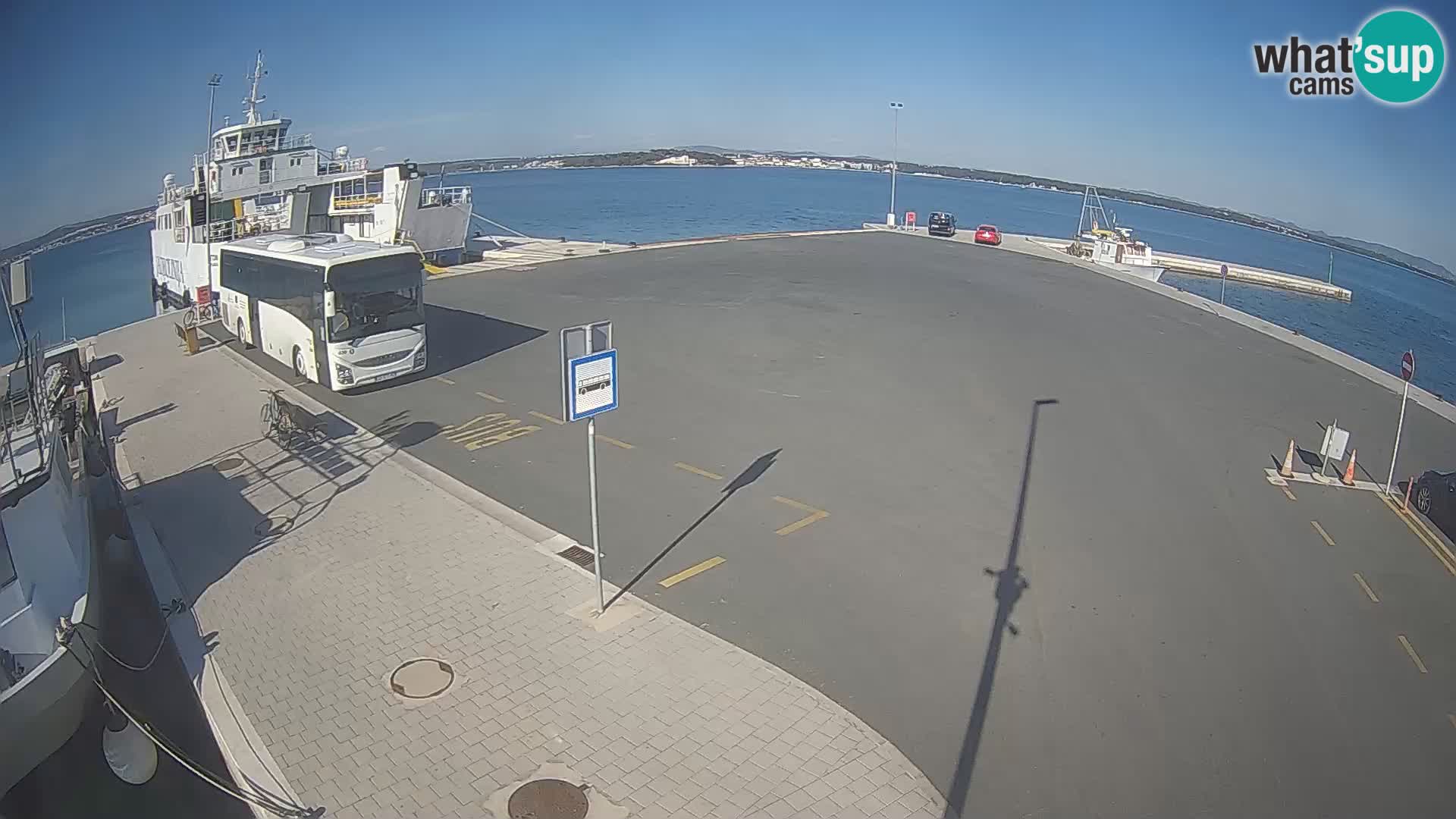 Tkon v živo – trajekt – Dalmacija – Hrvaška