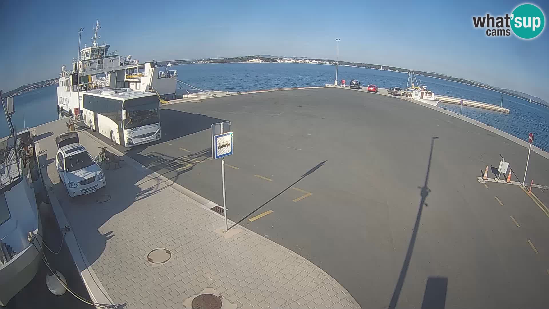 Tkon v živo – trajekt – Dalmacija – Hrvaška