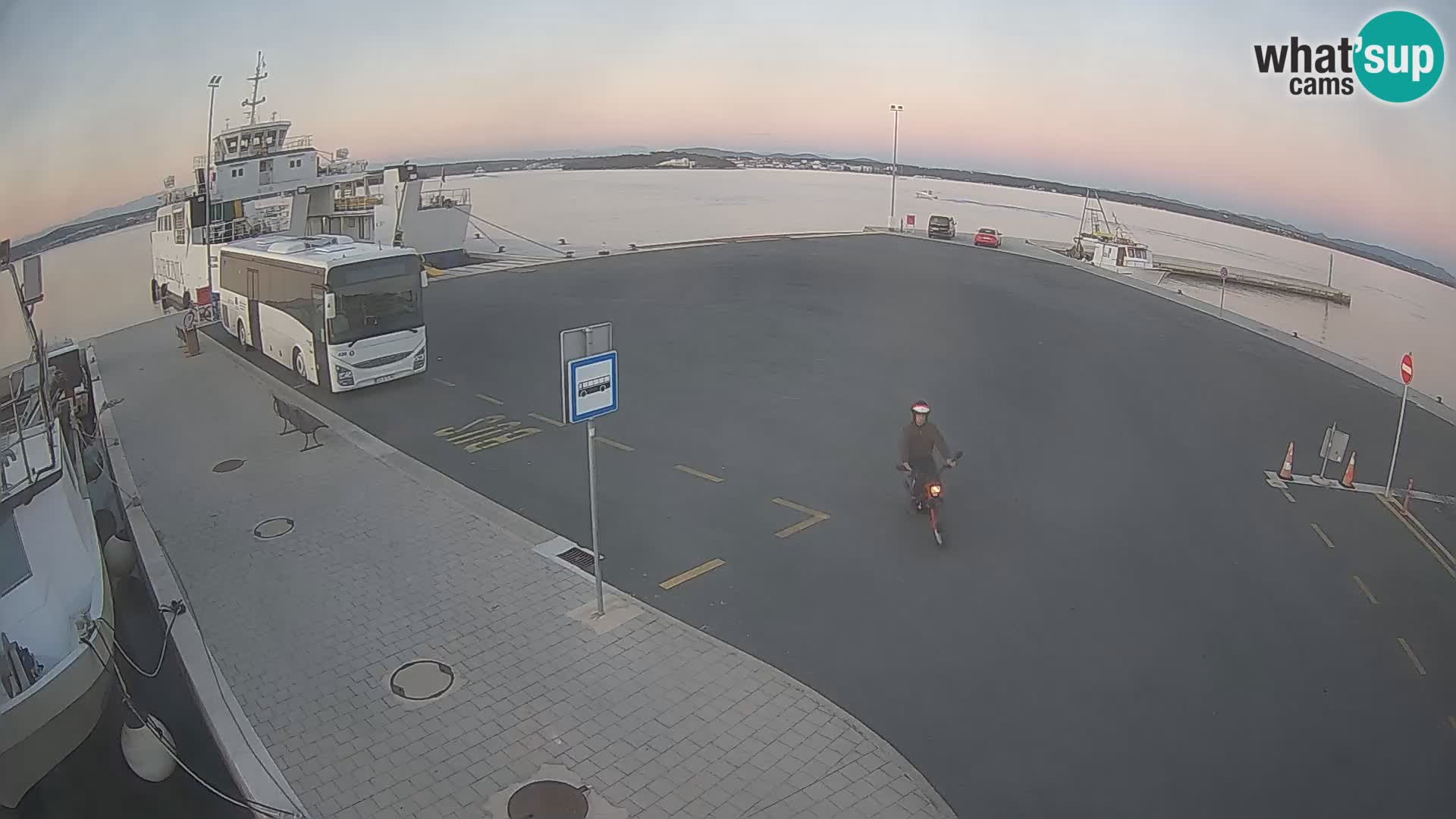 Tkon v živo – trajekt – Dalmacija – Hrvaška