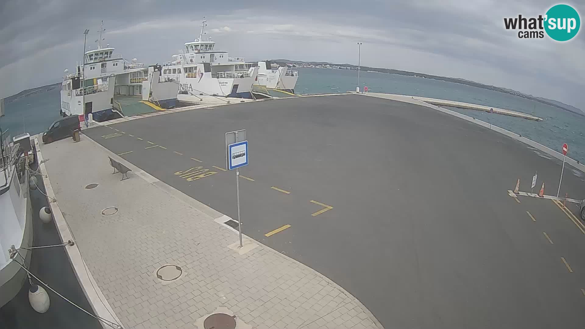 Tkon v živo – trajekt – Dalmacija – Hrvaška