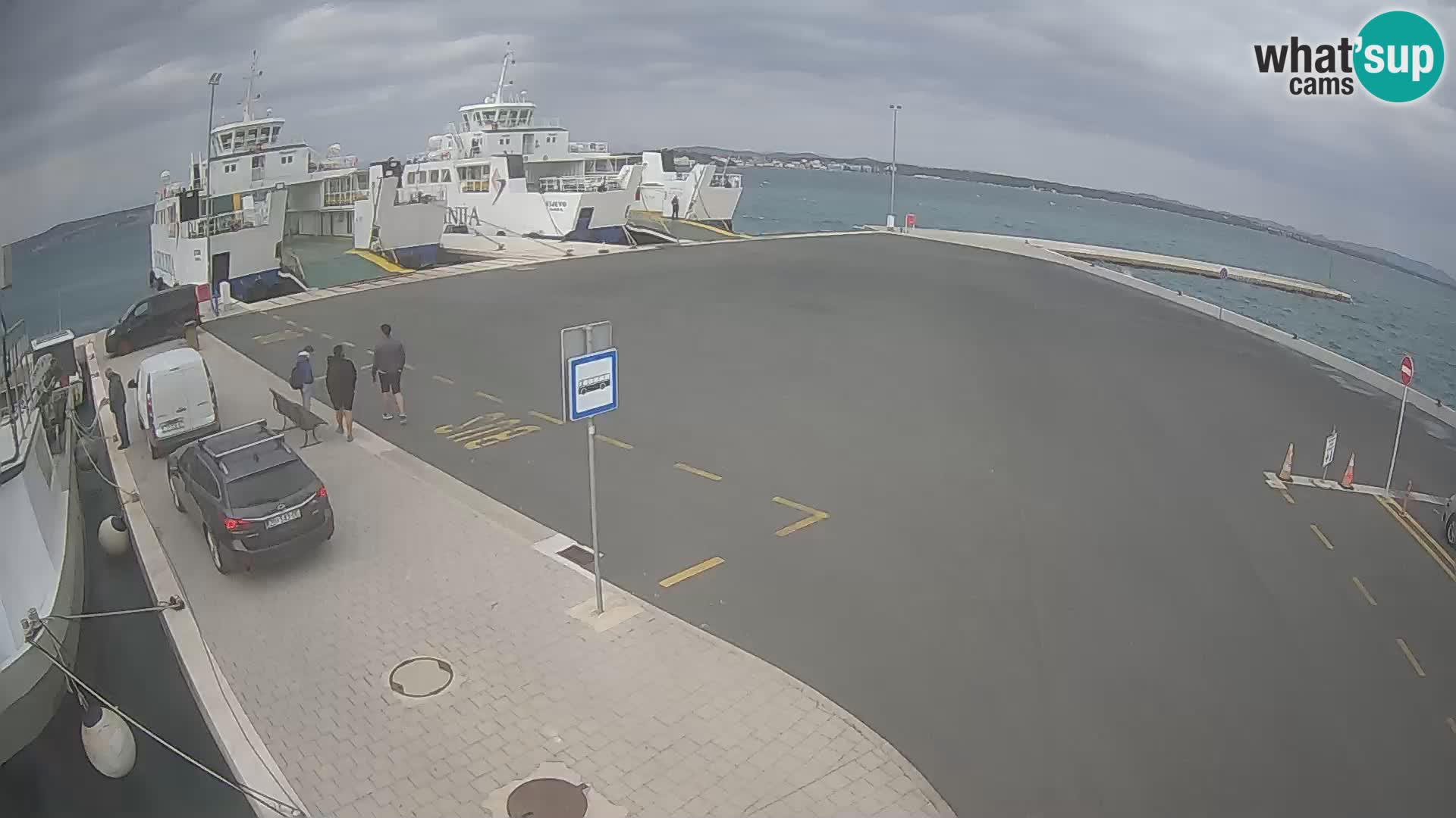 Tkon u živo – trajekt – Dalmacija