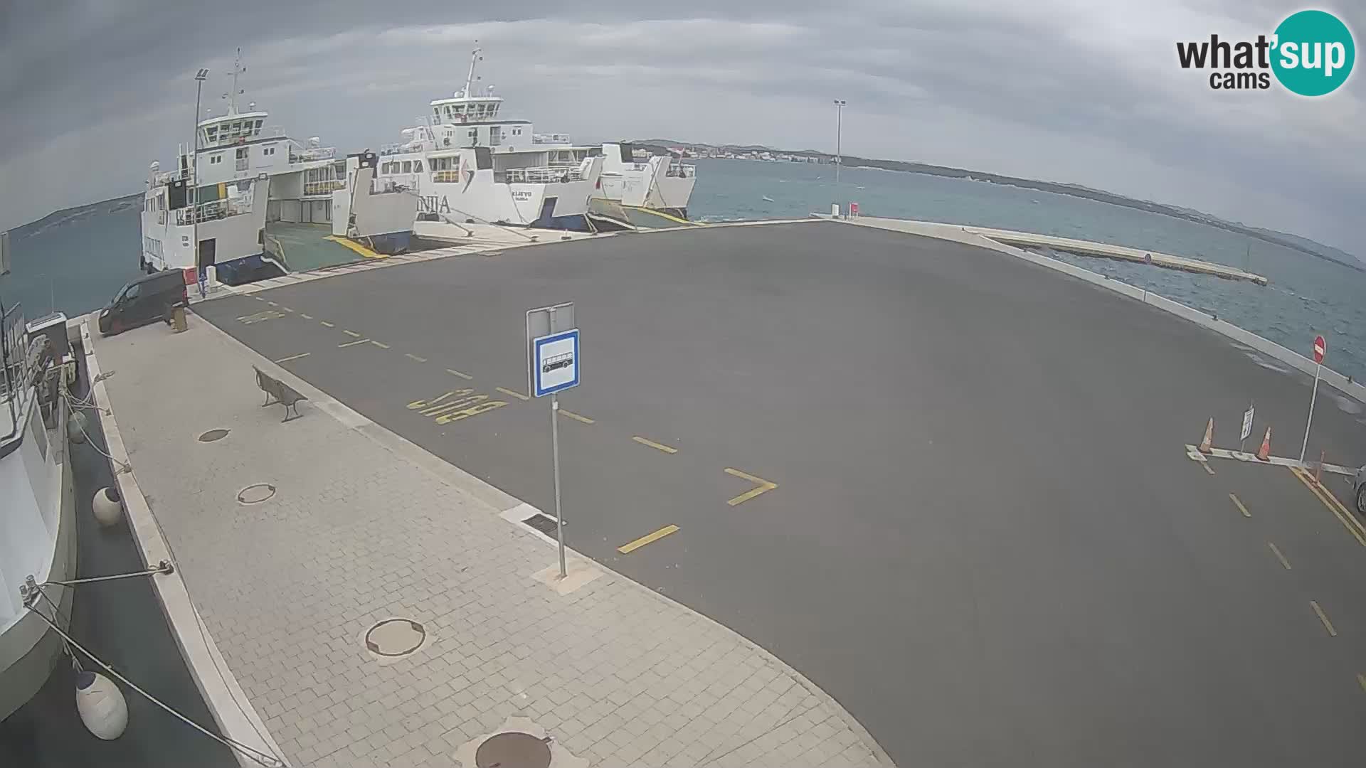 Tkon u živo – trajekt – Dalmacija