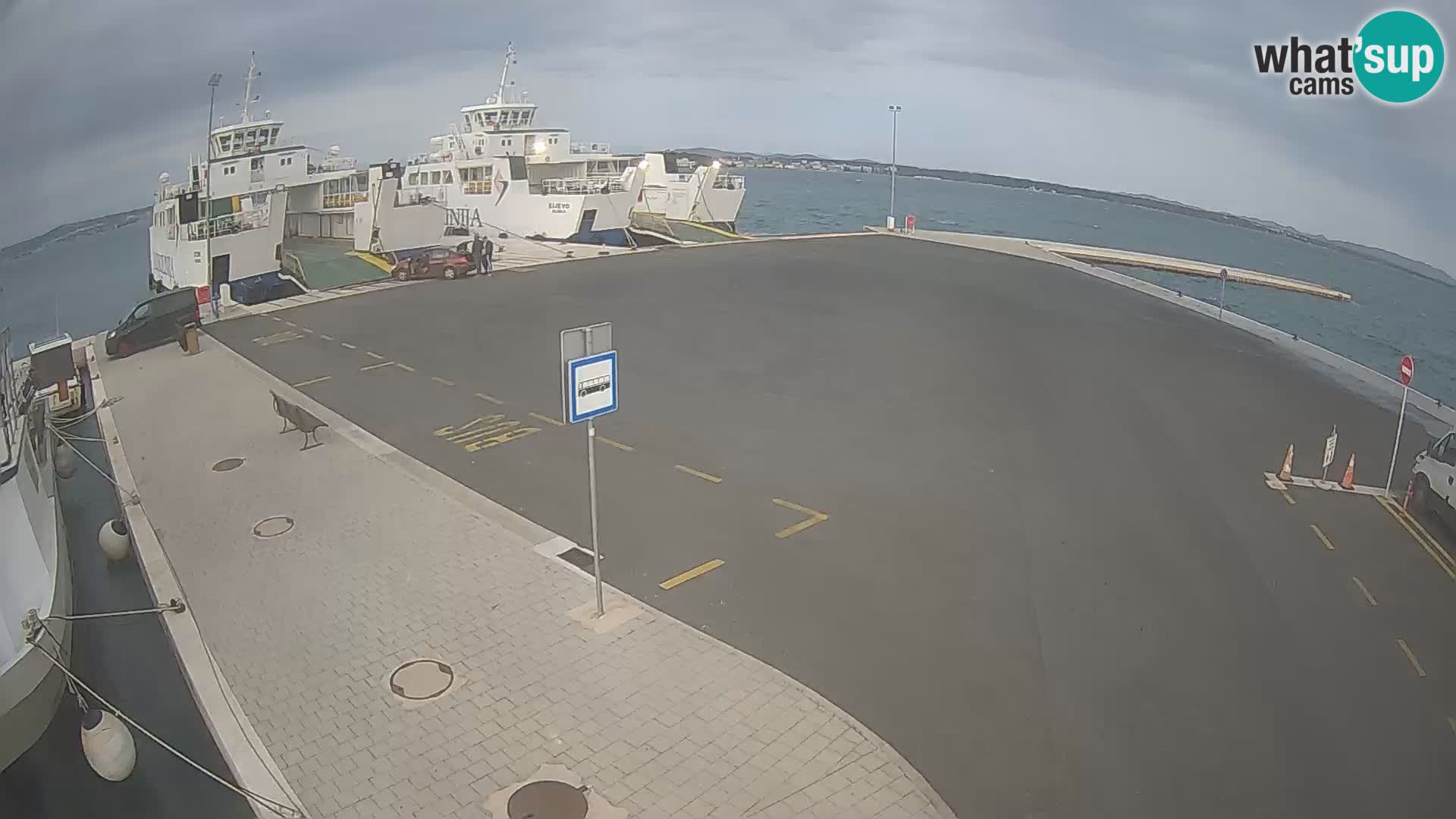 Tkon u živo – trajekt – Dalmacija