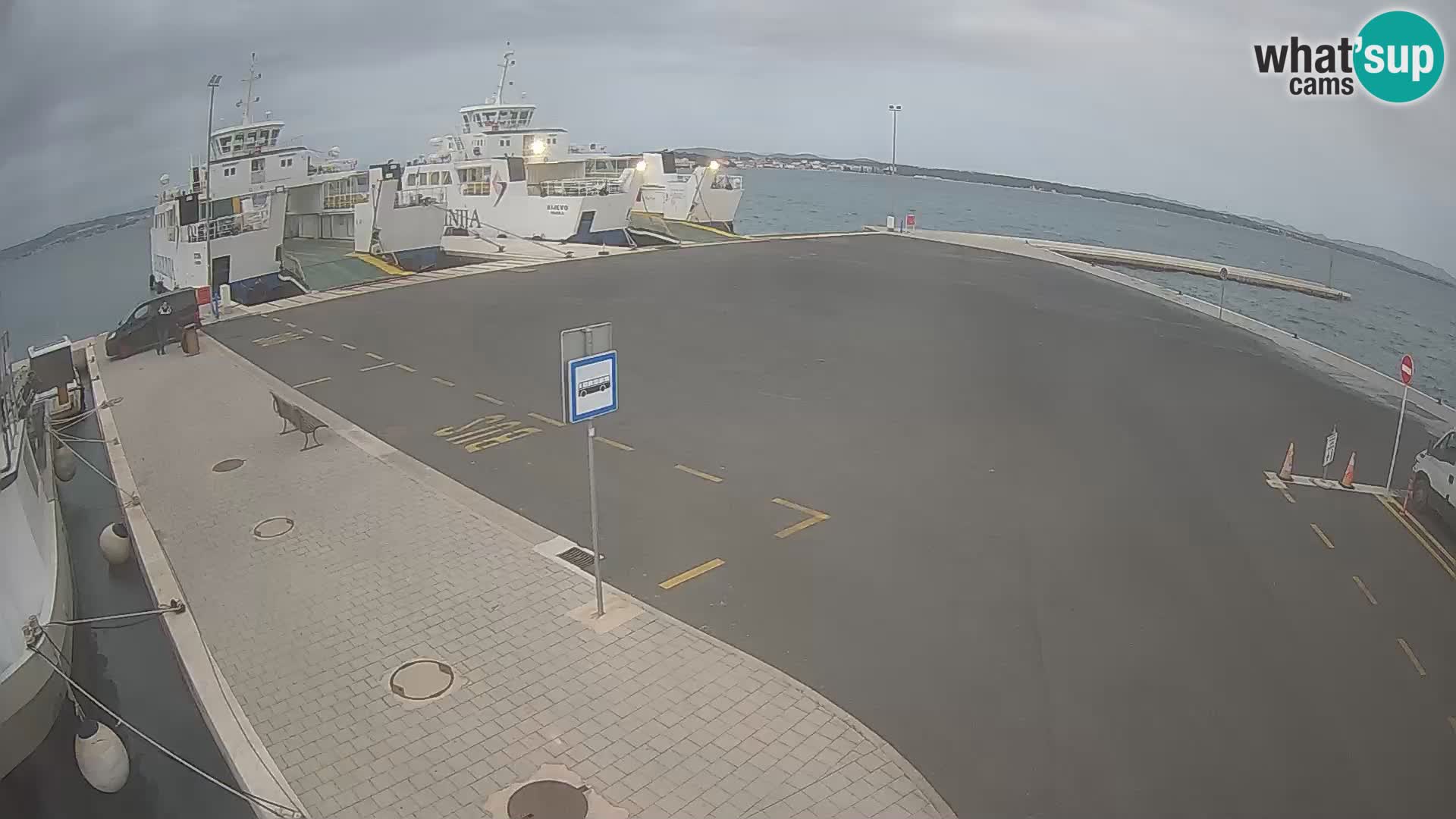 Tkon v živo – trajekt – Dalmacija – Hrvaška