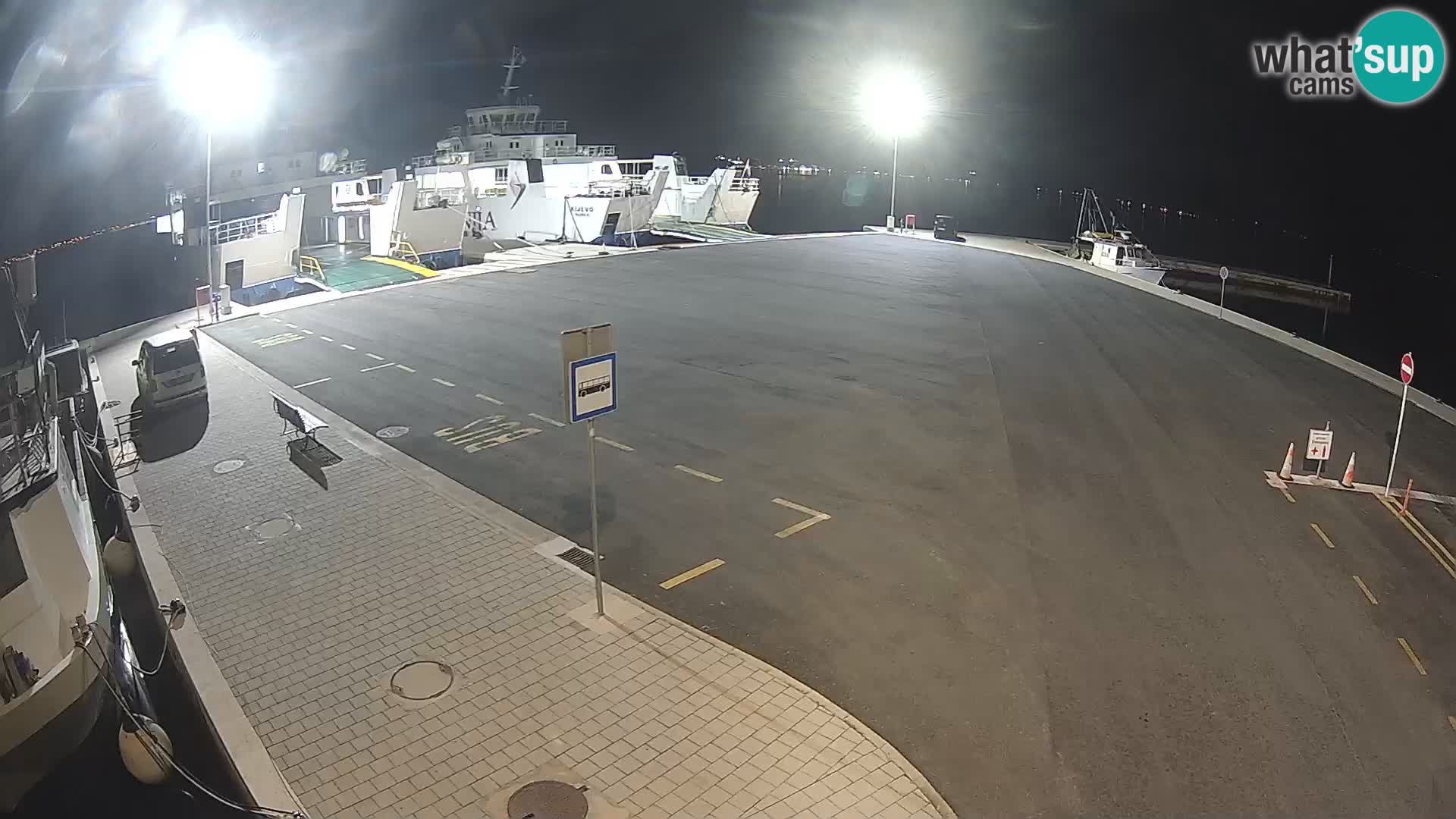 Tkon v živo – trajekt – Dalmacija – Hrvaška