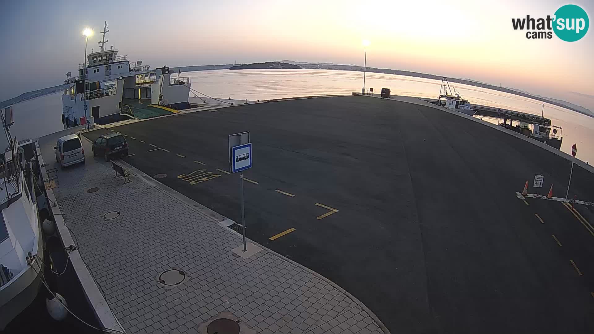 Tkon v živo – trajekt – Dalmacija – Hrvaška