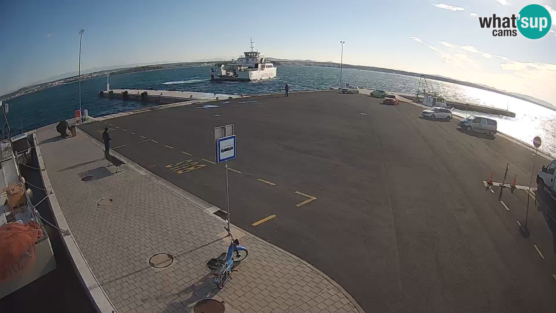 Tkon Live cam – traghetto – Dalmazia – Croazia