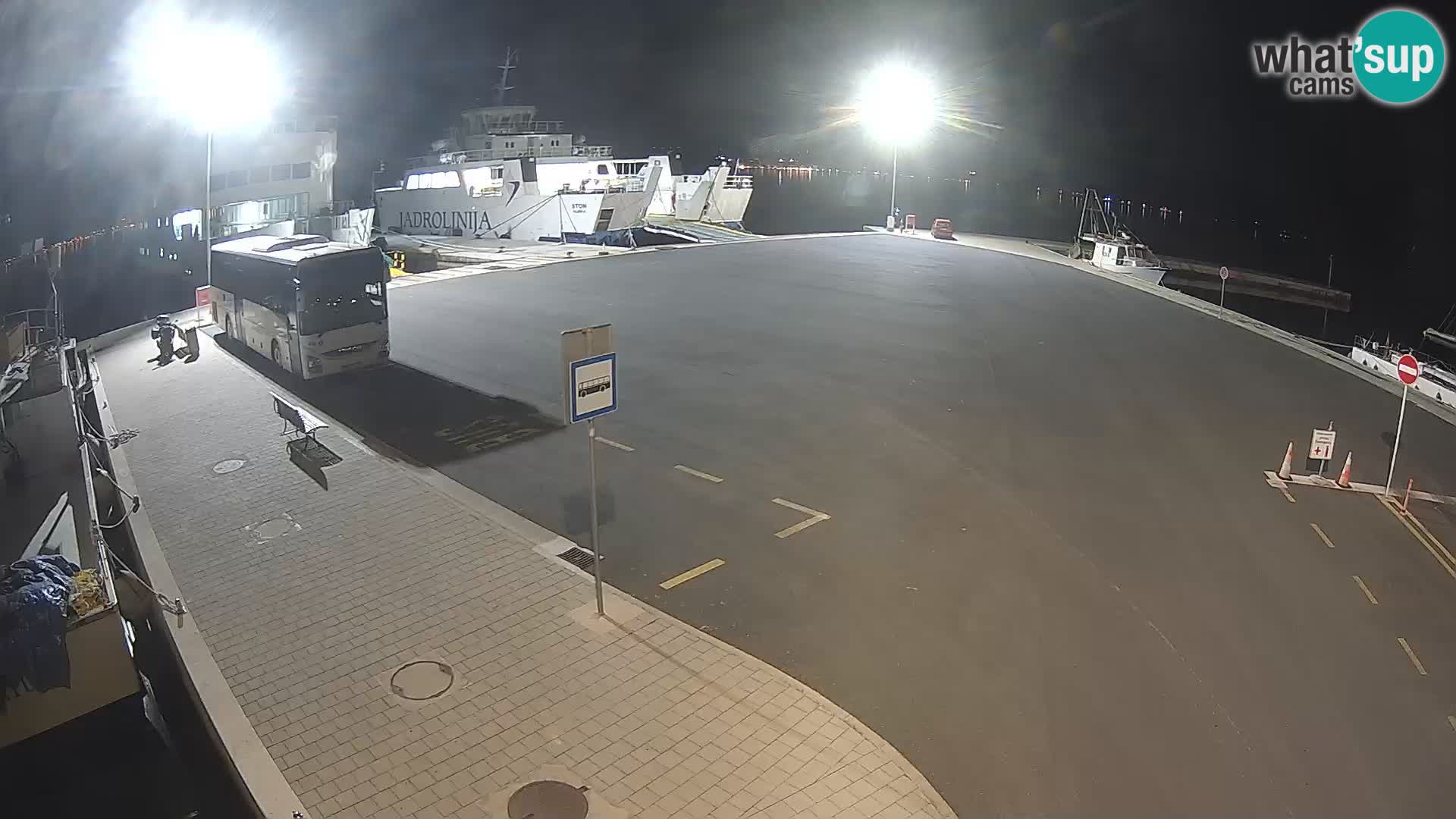 Tkon u živo – trajekt – Dalmacija