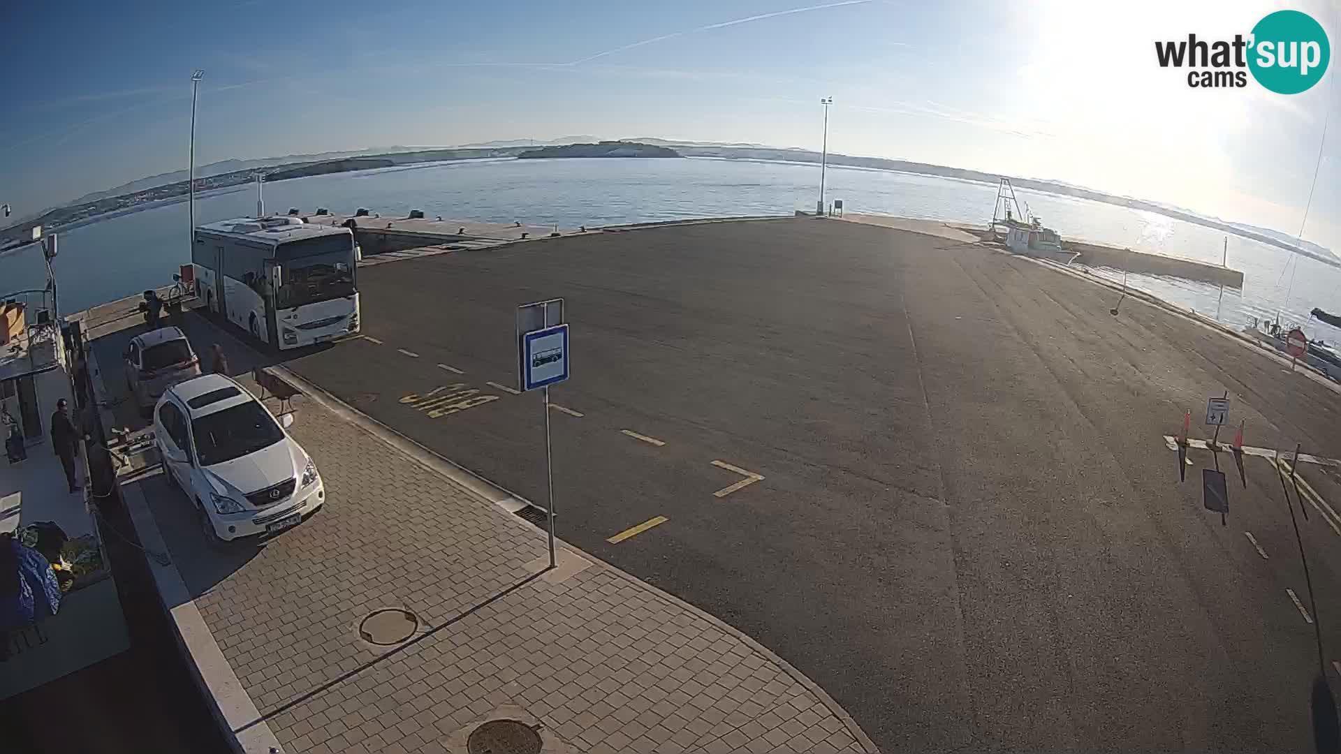 Tkon u živo – trajekt – Dalmacija