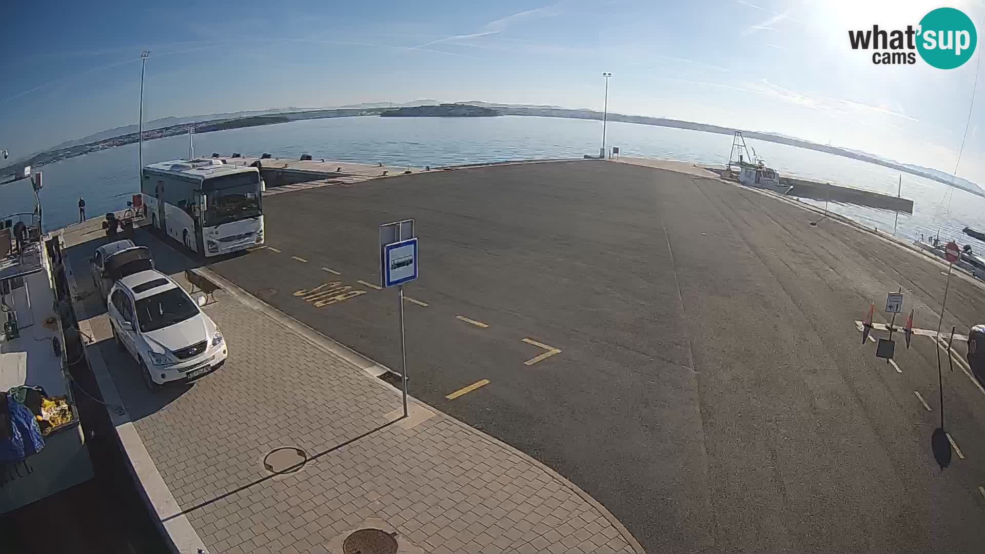 Tkon v živo – trajekt – Dalmacija – Hrvaška