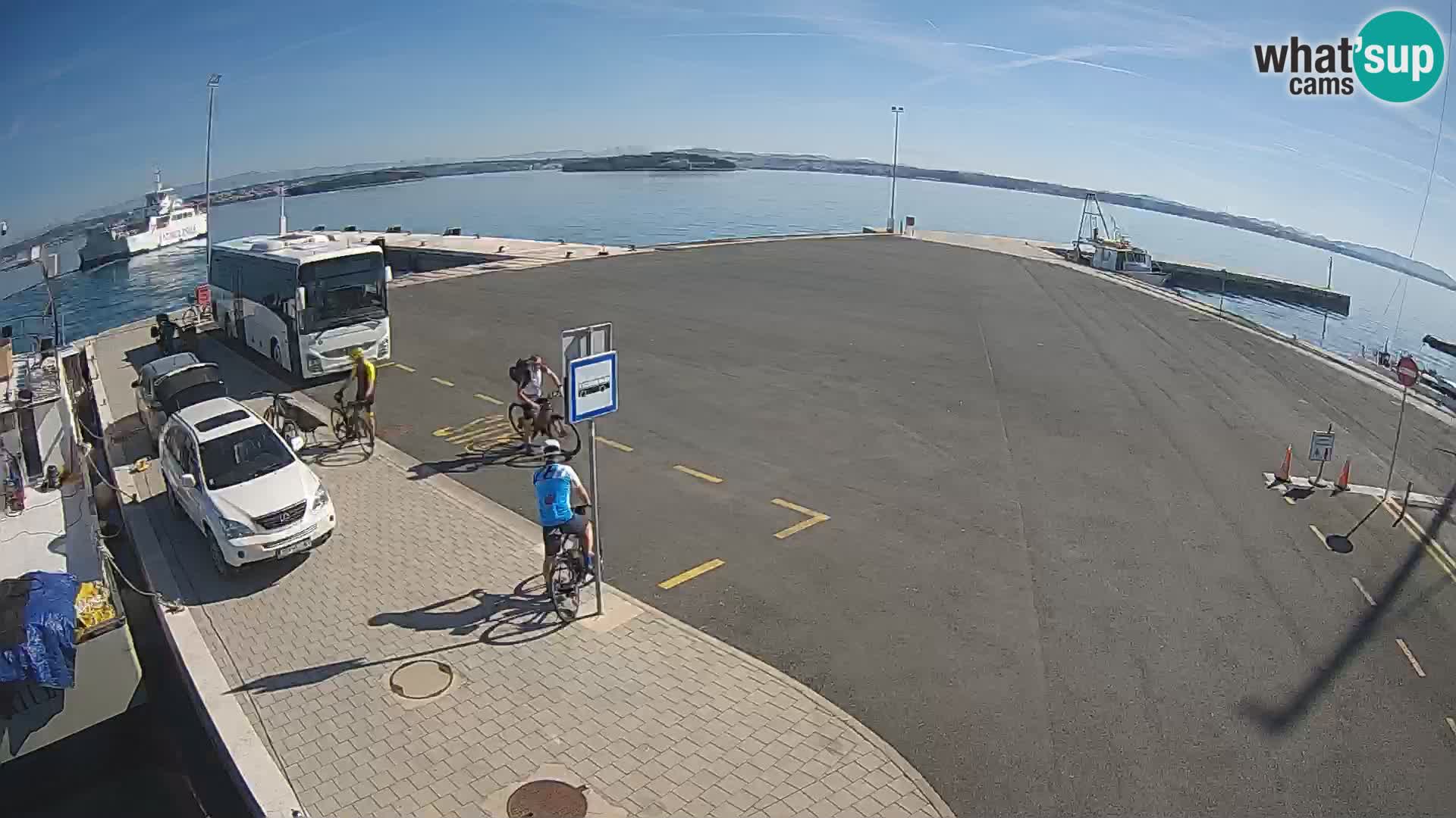 Tkon v živo – trajekt – Dalmacija – Hrvaška