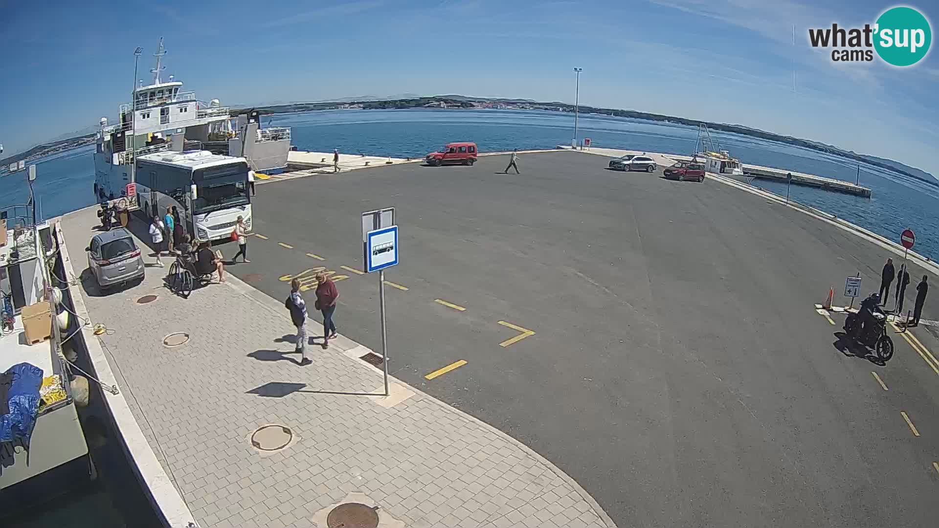 Tkon camera en vivo – Transportar – Dalmacia – Croacia