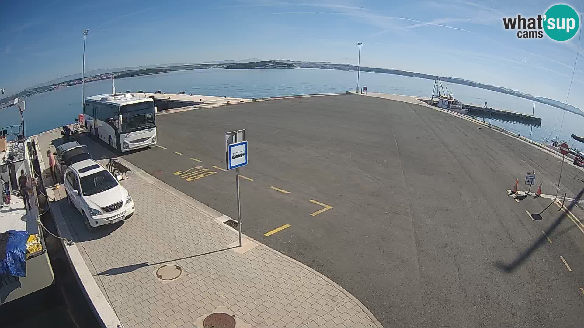 Tkon v živo – trajekt – Dalmacija – Hrvaška