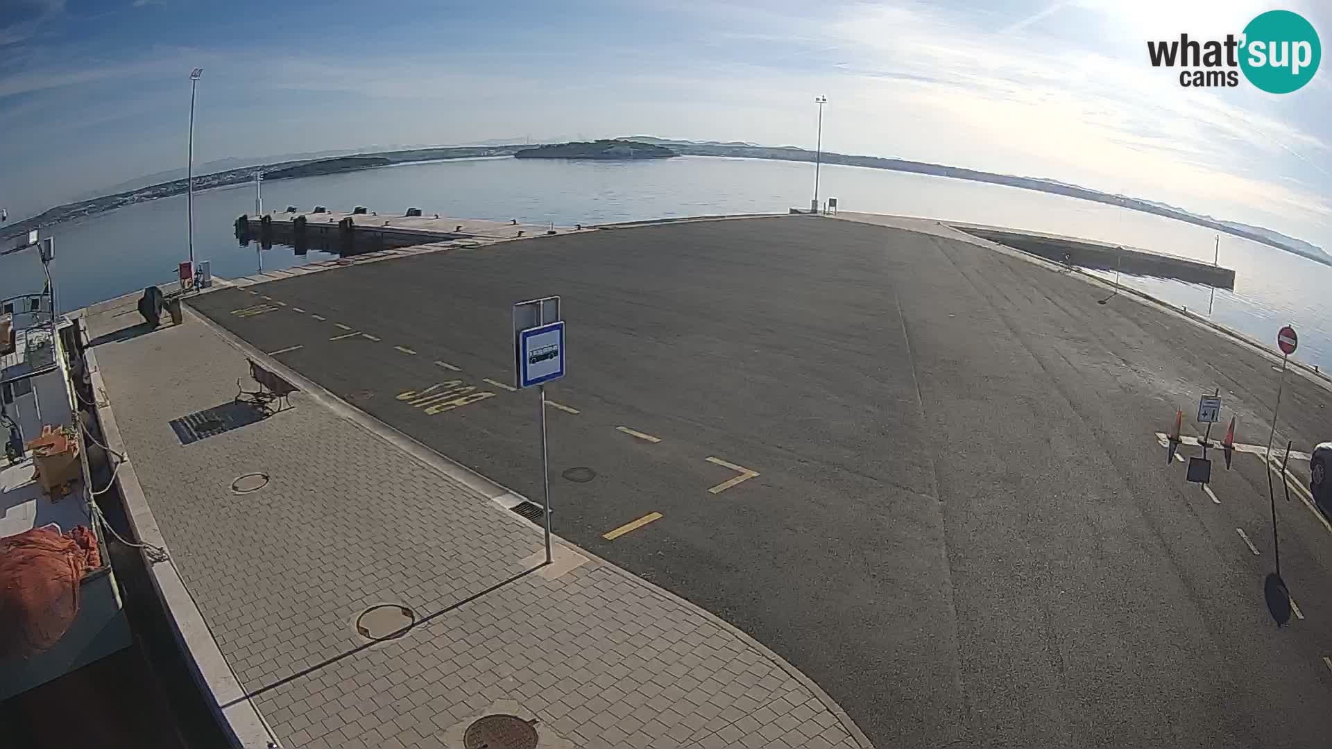 Tkon v živo – trajekt – Dalmacija – Hrvaška