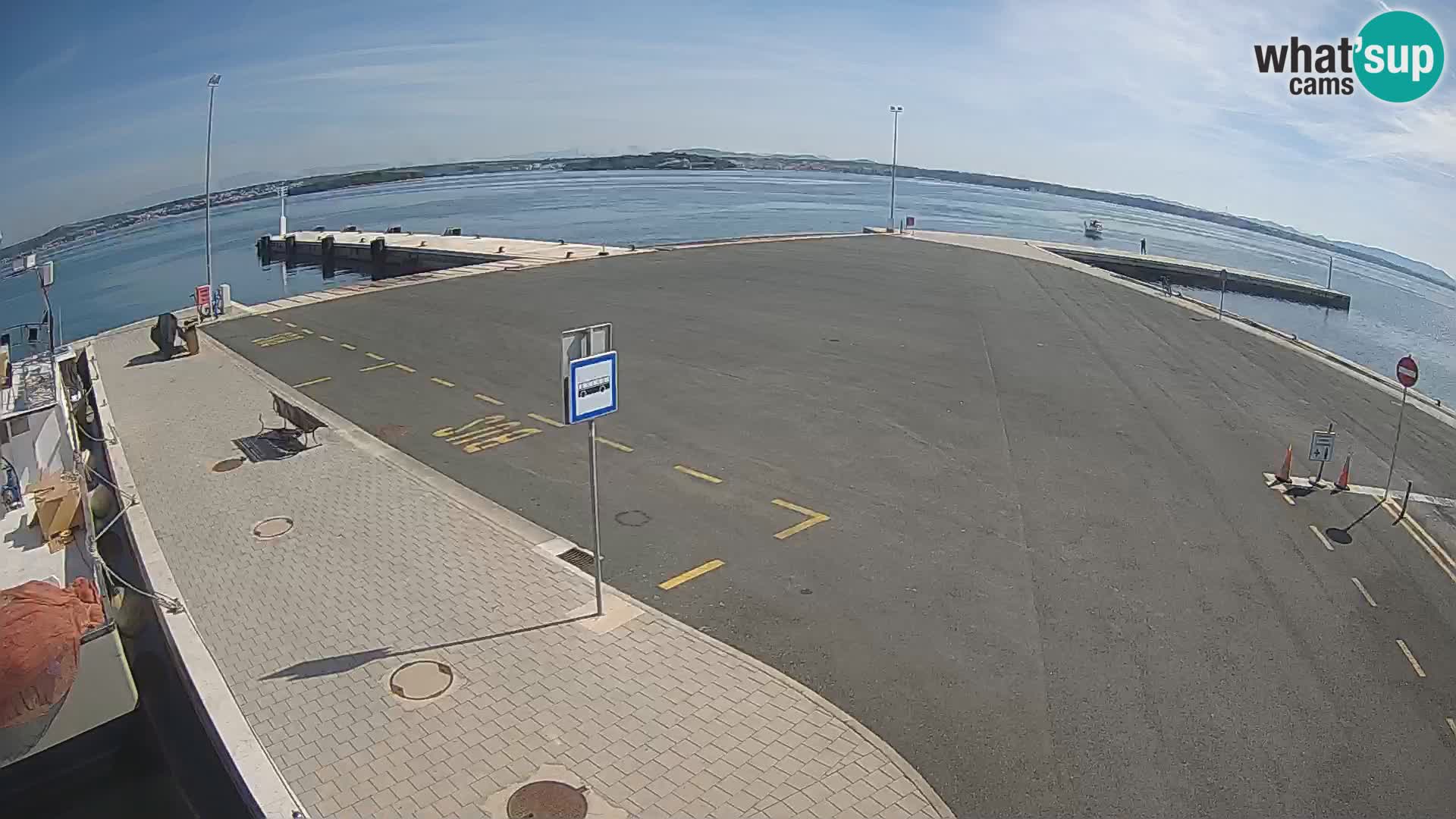 Tkon v živo – trajekt – Dalmacija – Hrvaška