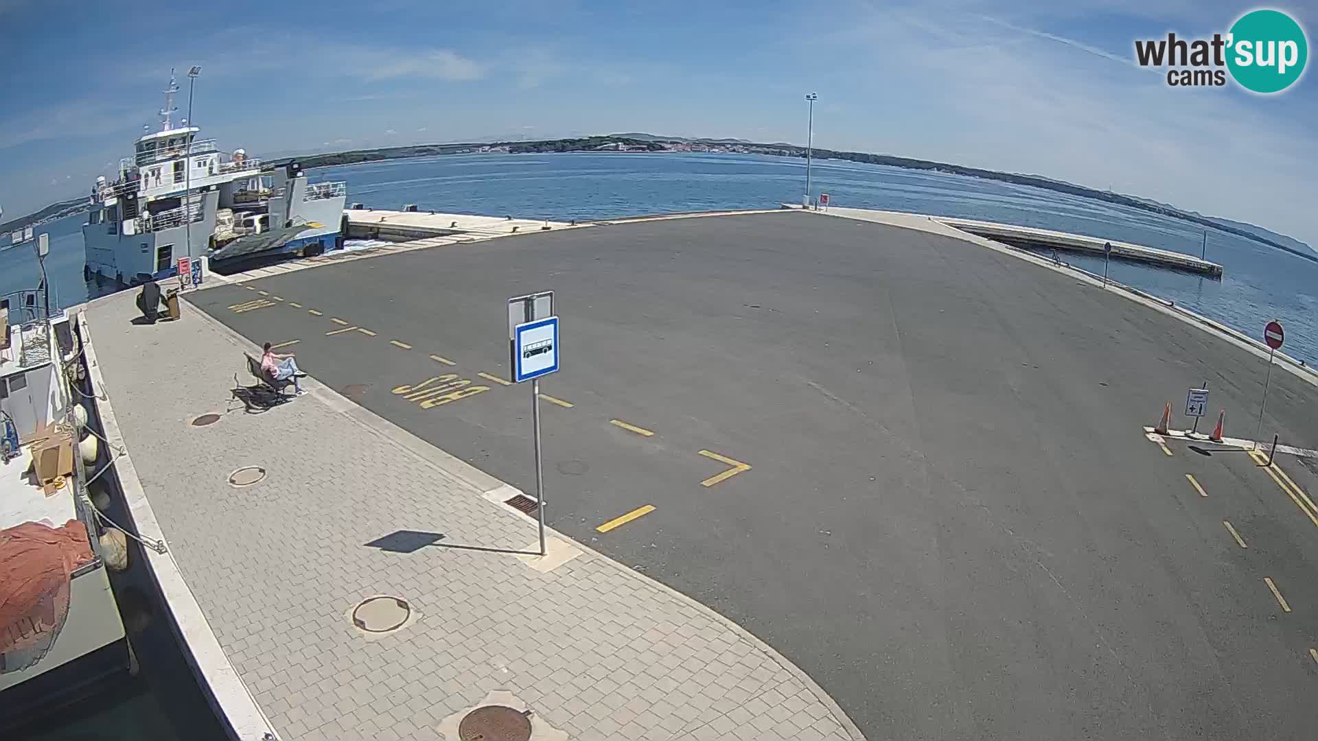 Tkon v živo – trajekt – Dalmacija – Hrvaška