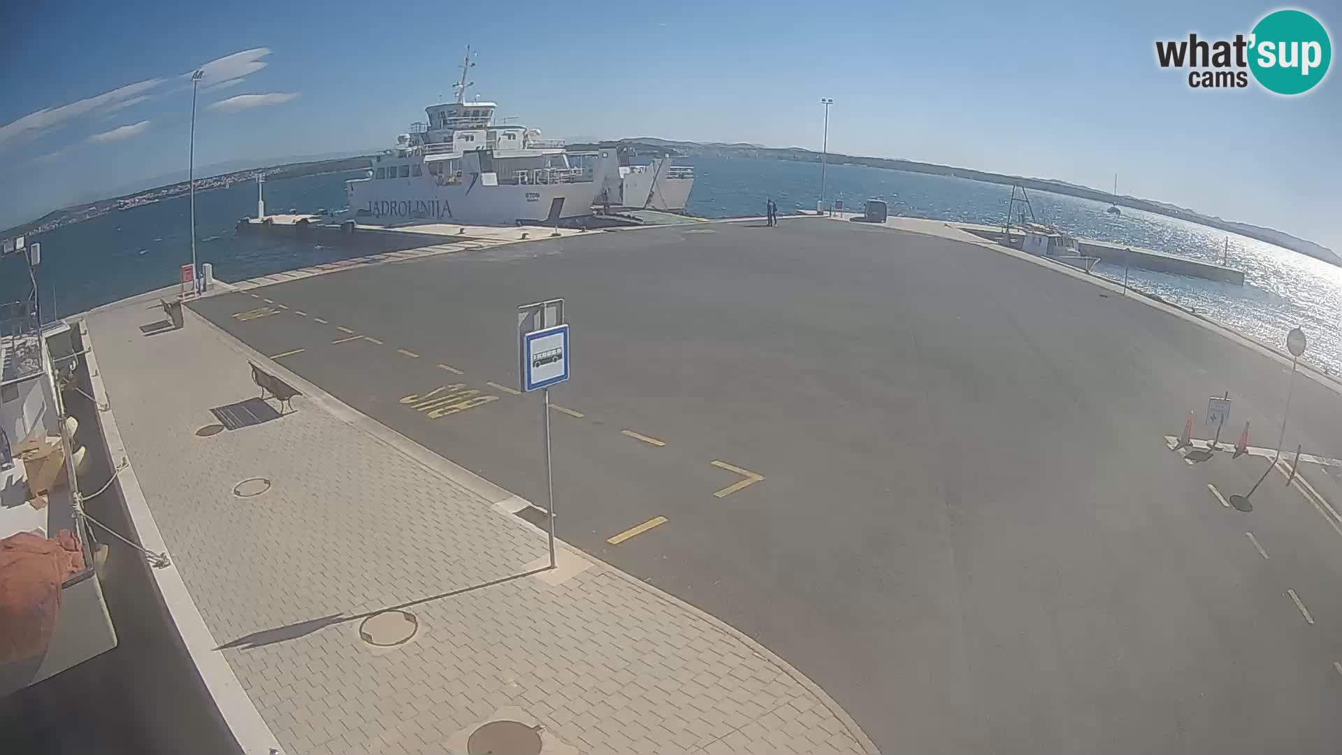Tkon v živo – trajekt – Dalmacija – Hrvaška