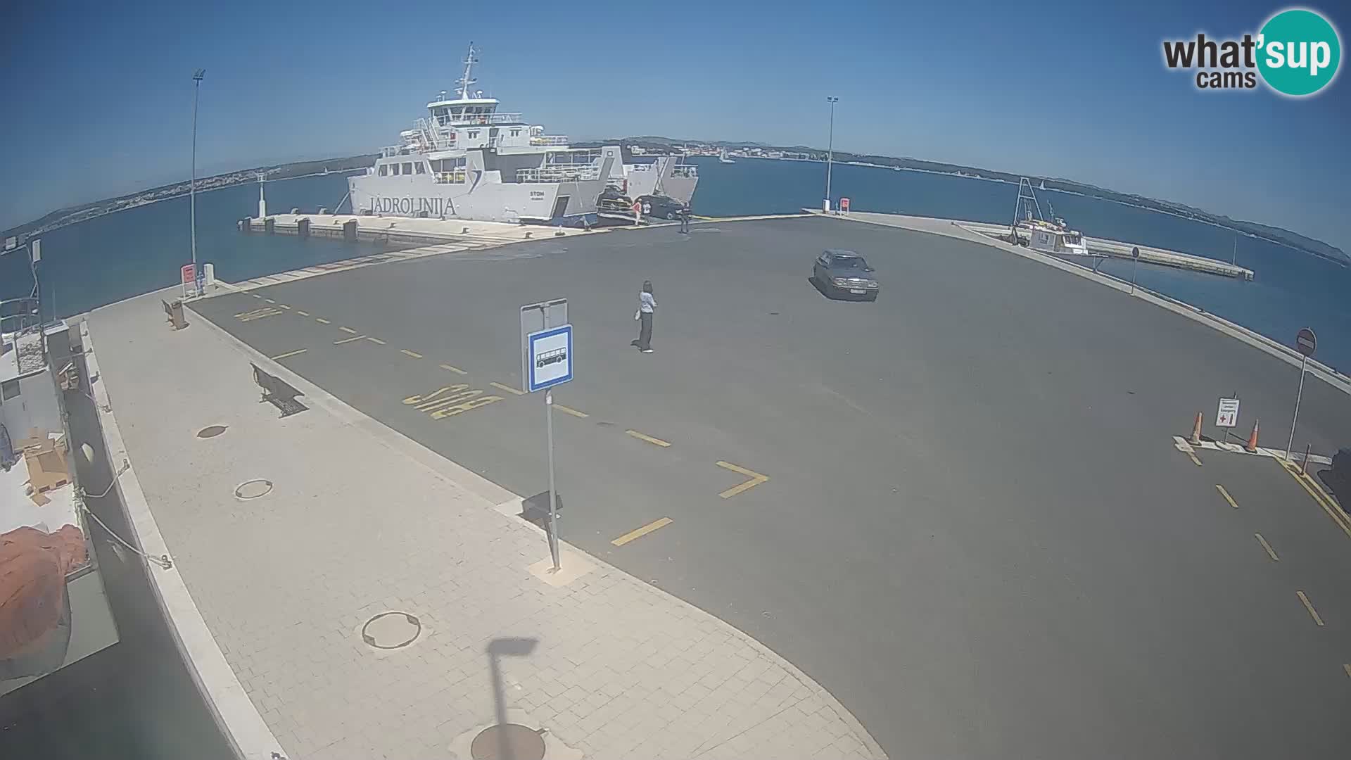 Tkon v živo – trajekt – Dalmacija – Hrvaška