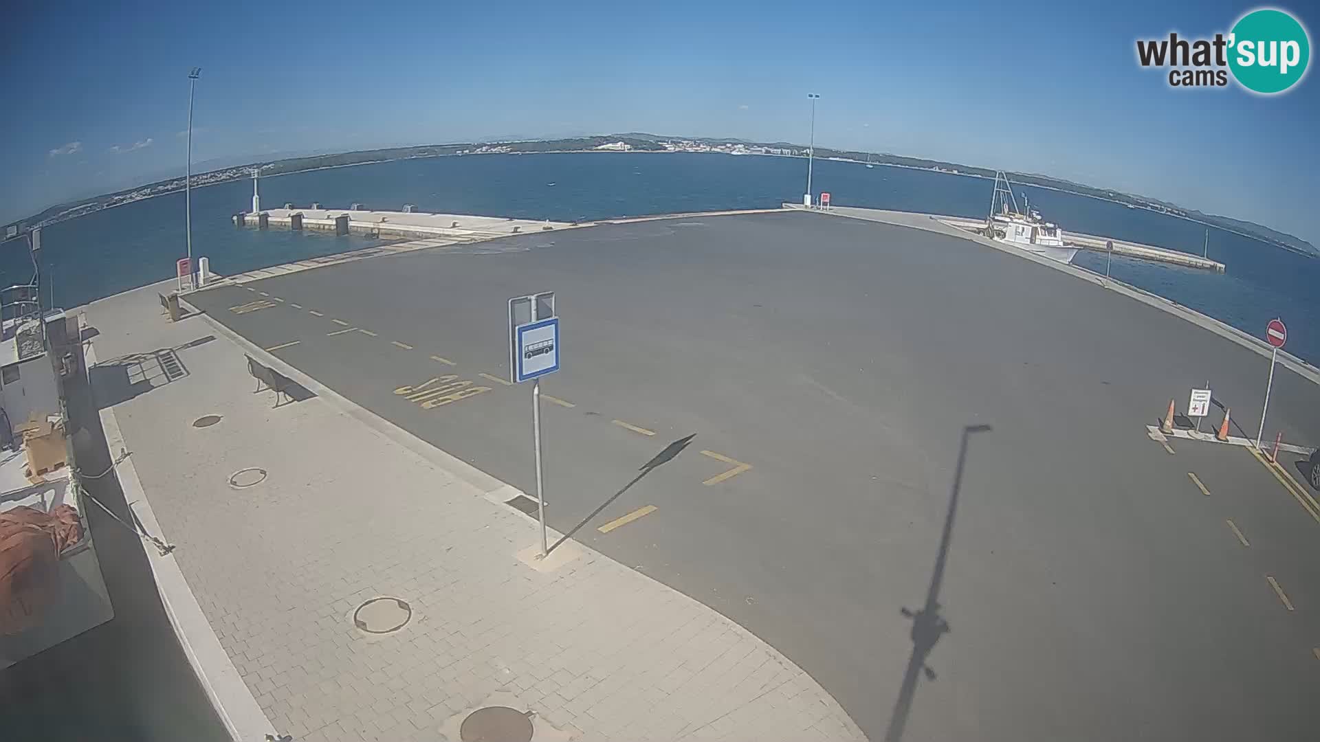 Tkon v živo – trajekt – Dalmacija – Hrvaška