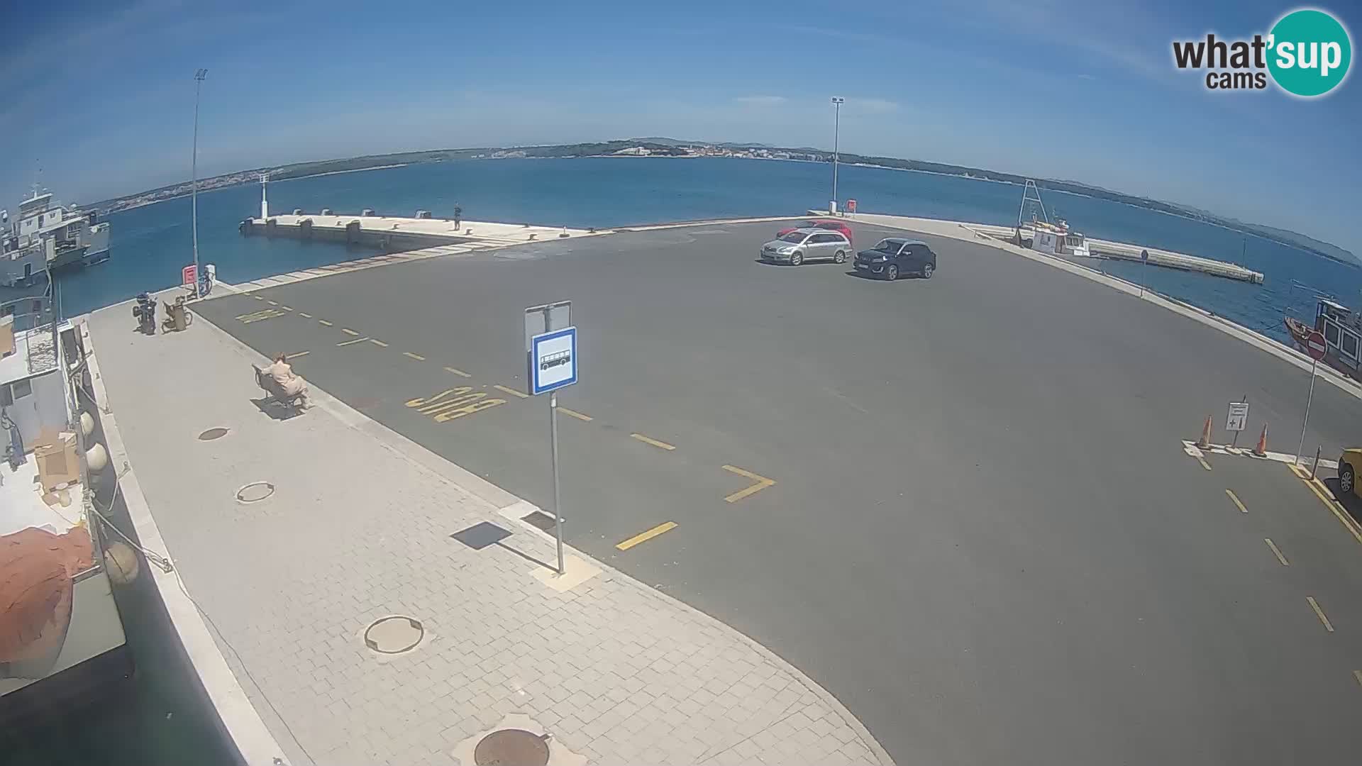 Tkon v živo – trajekt – Dalmacija – Hrvaška