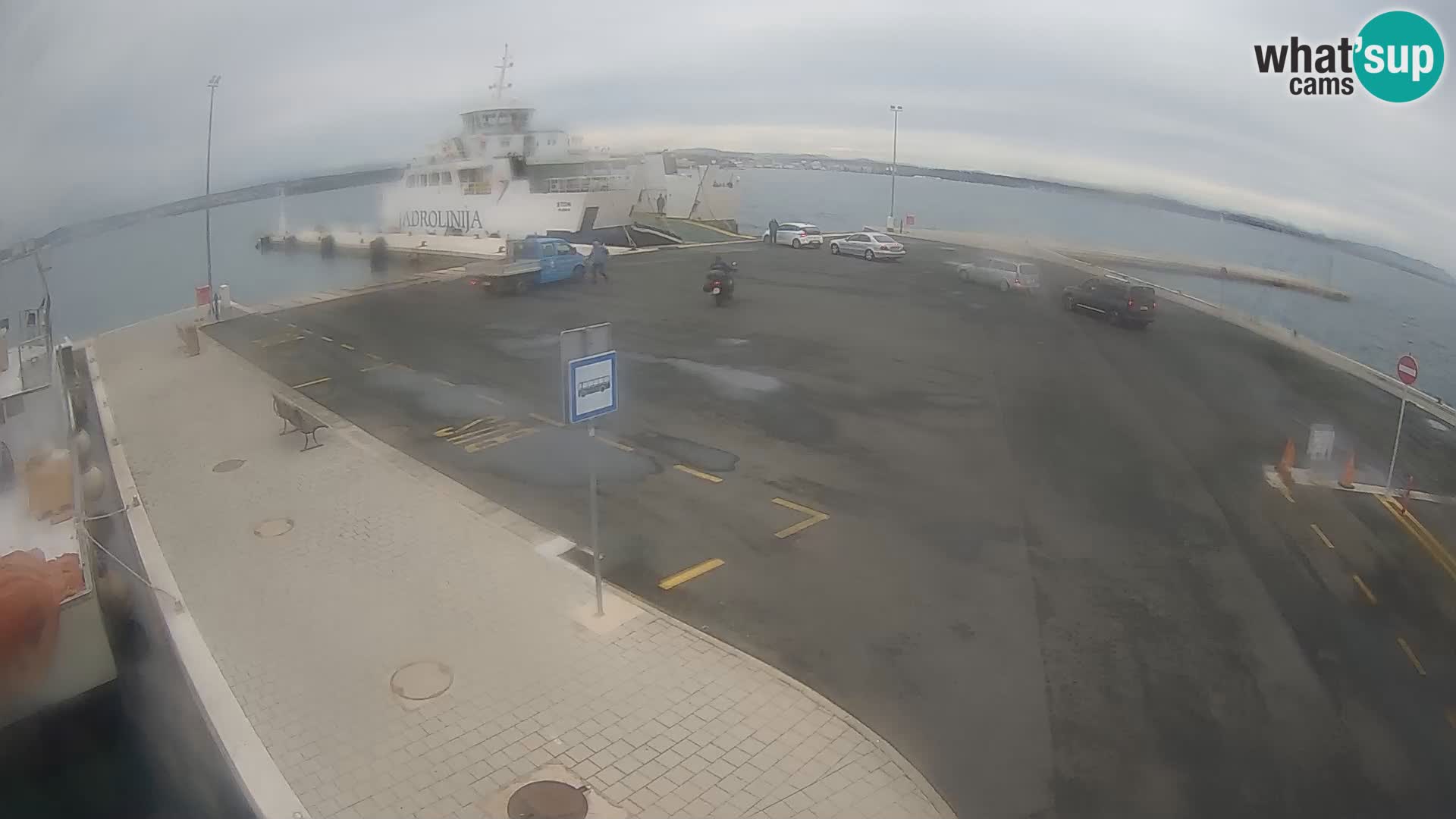Tkon u živo – trajekt – Dalmacija