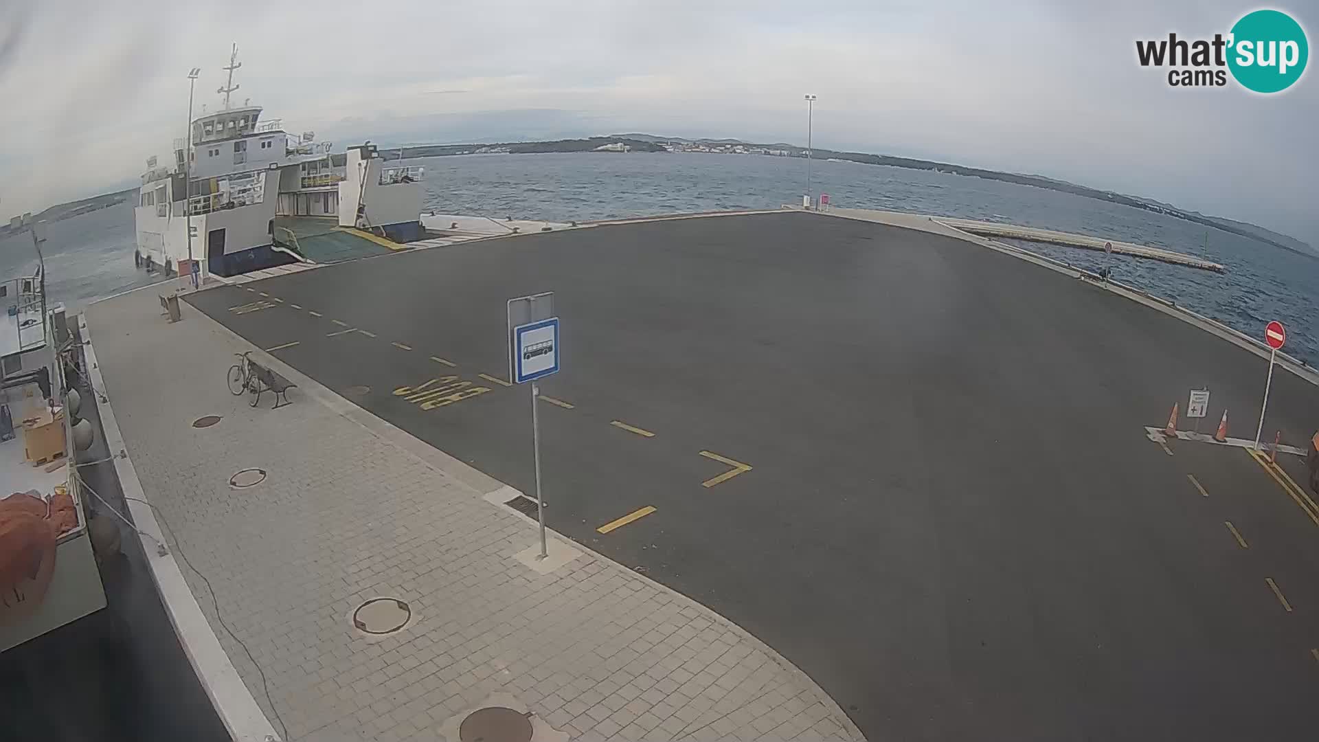 Tkon v živo – trajekt – Dalmacija – Hrvaška