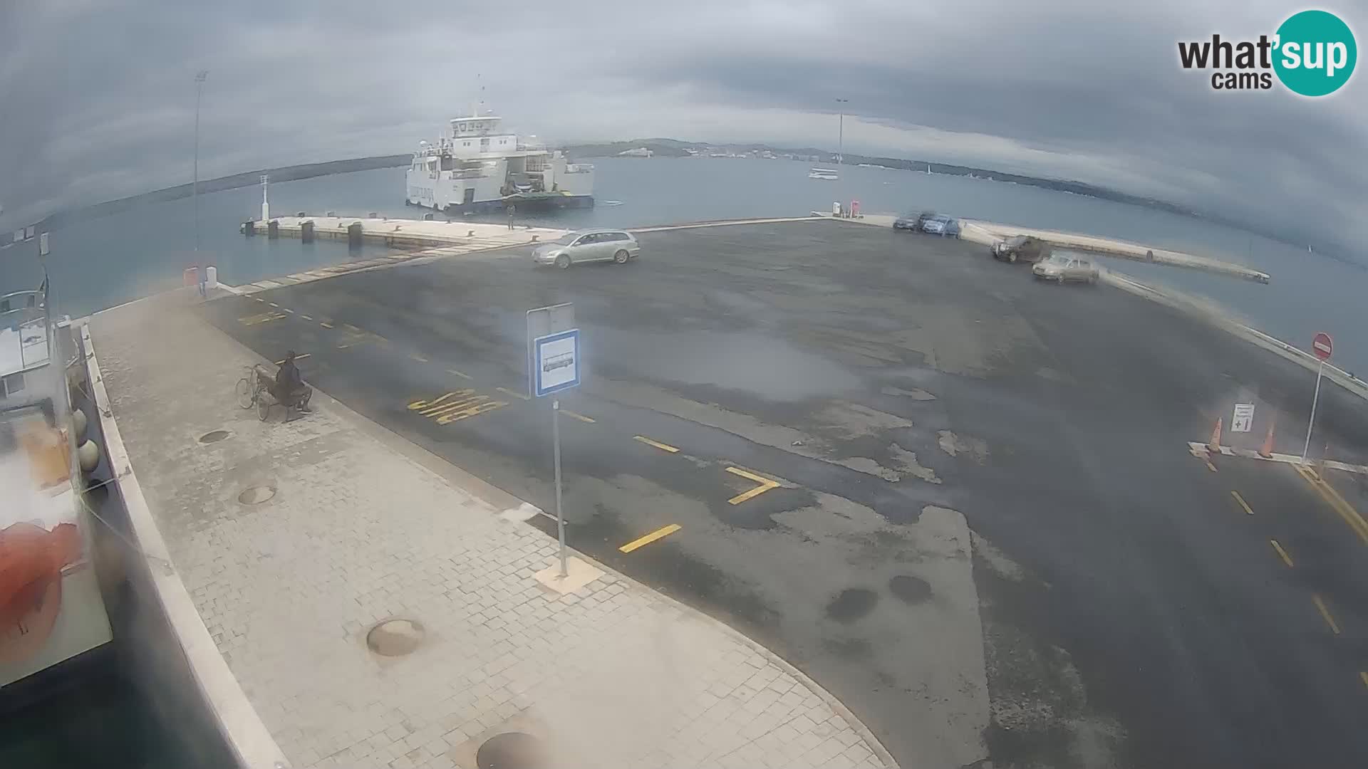 Tkon v živo – trajekt – Dalmacija – Hrvaška