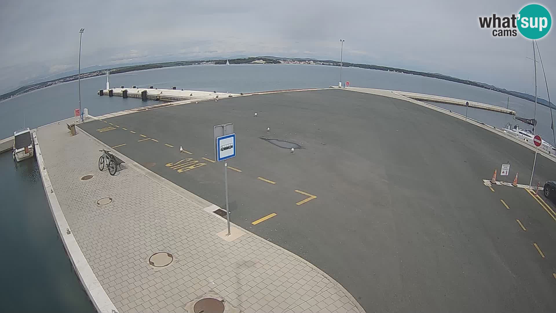 Tkon Live cam – Fähre – Dalmatien – Kroatien