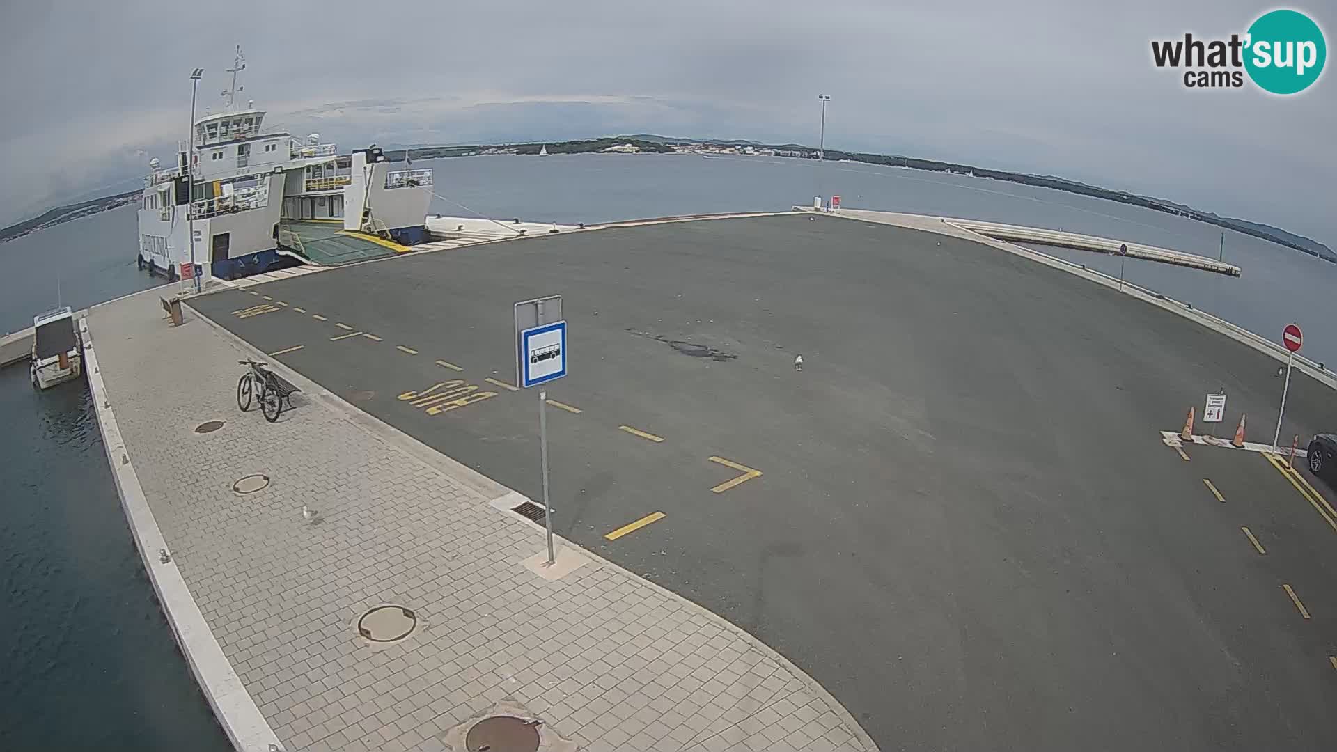 Tkon Live cam – traghetto – Dalmazia – Croazia