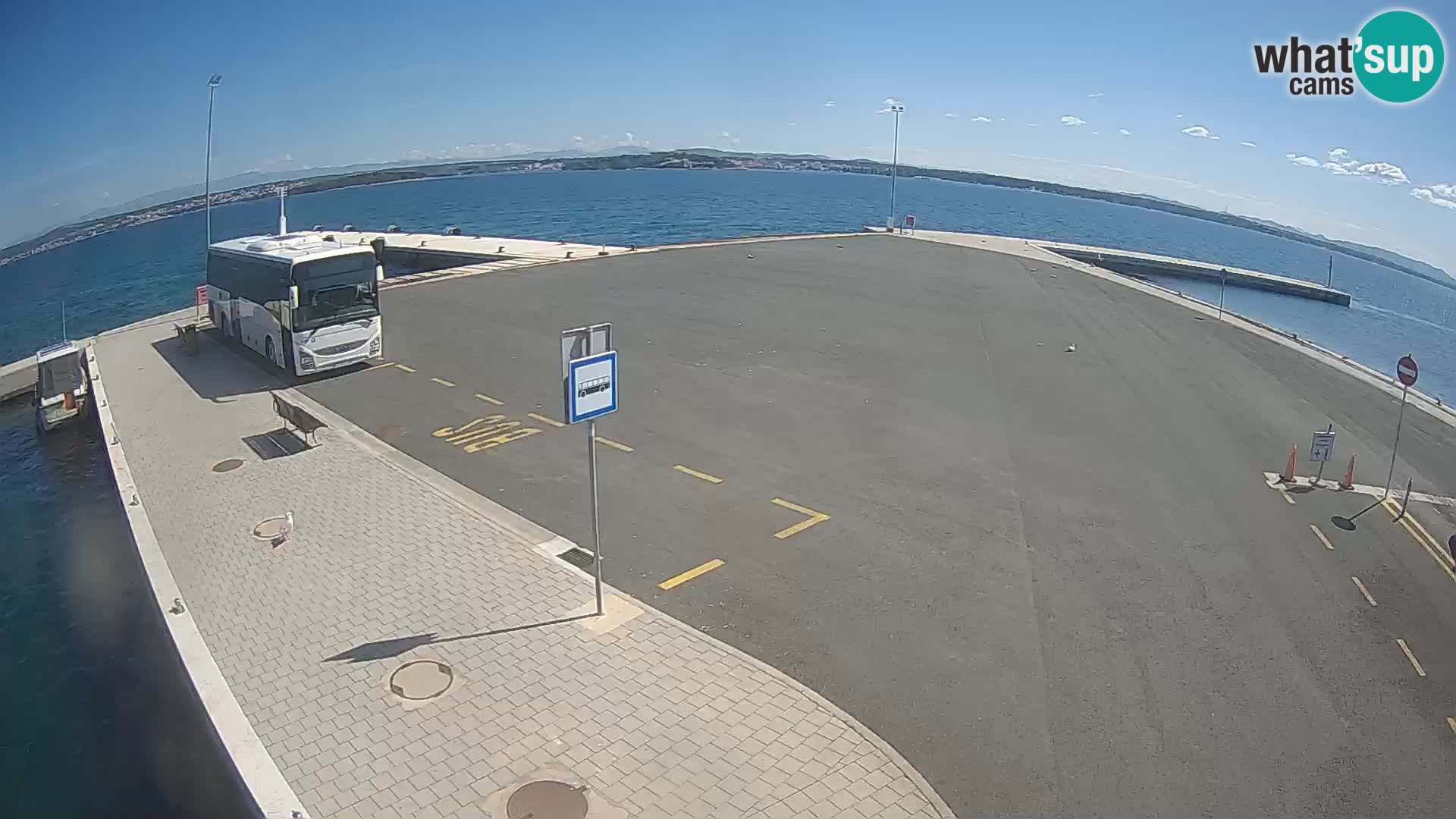 Tkon Live cam – traghetto – Dalmazia – Croazia