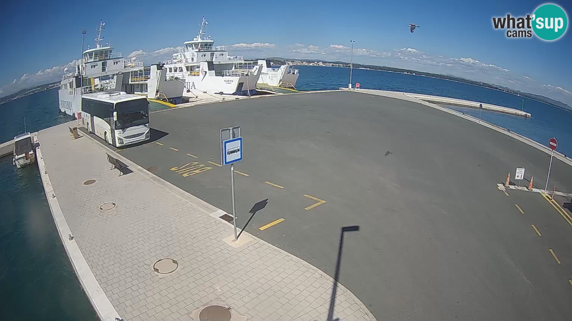 Tkon Live cam – traghetto – Dalmazia – Croazia