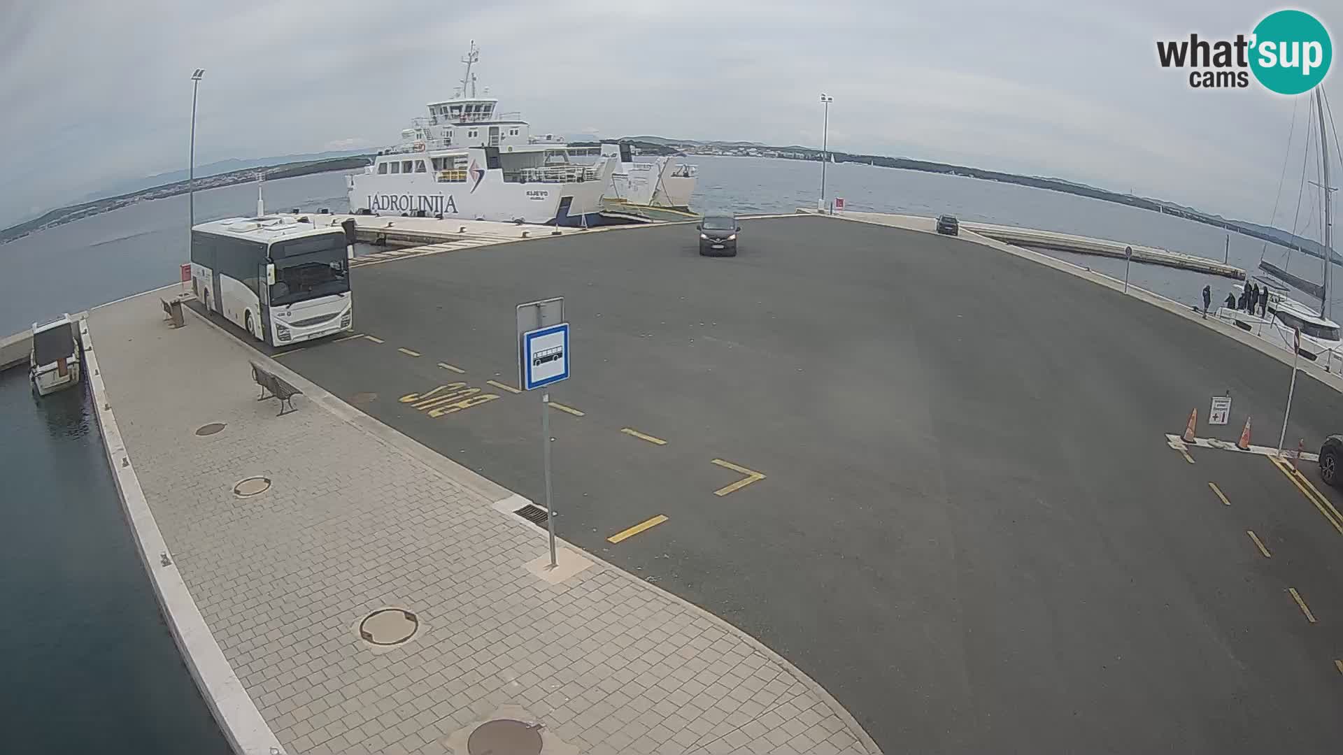Tkon Live cam – ferry – Dalmatie – Croatie