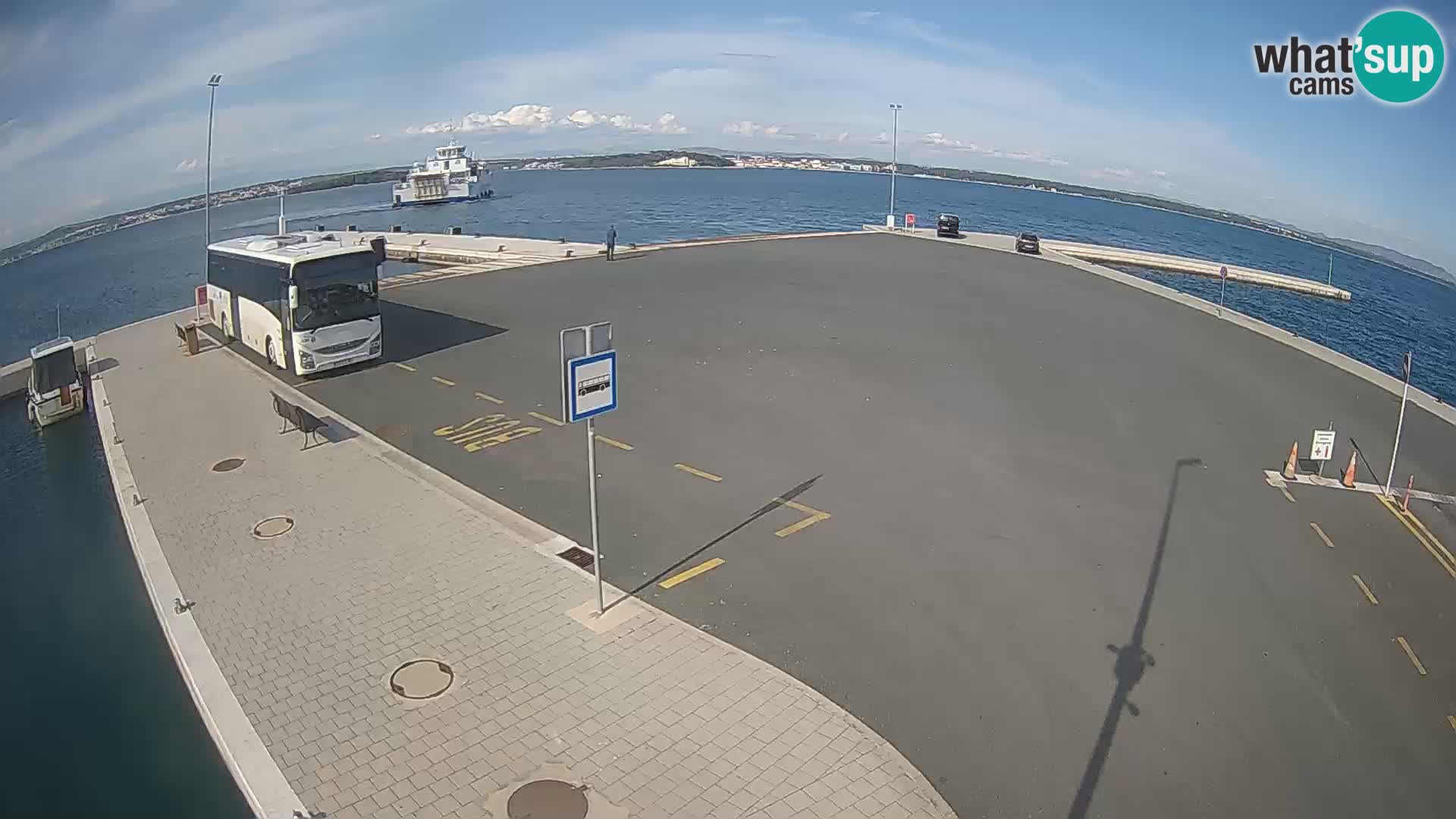Tkon camera en vivo – Transportar – Dalmacia – Croacia