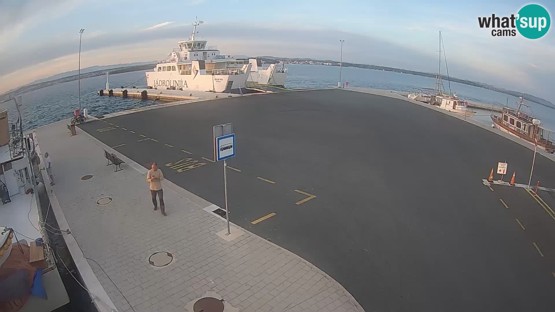 Tkon v živo – trajekt – Dalmacija – Hrvaška