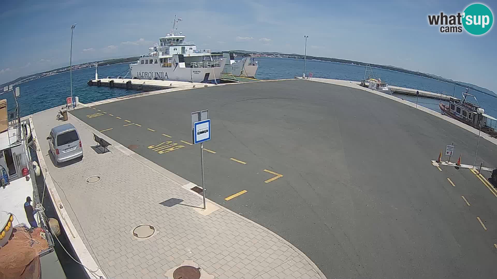 Tkon v živo – trajekt – Dalmacija – Hrvaška
