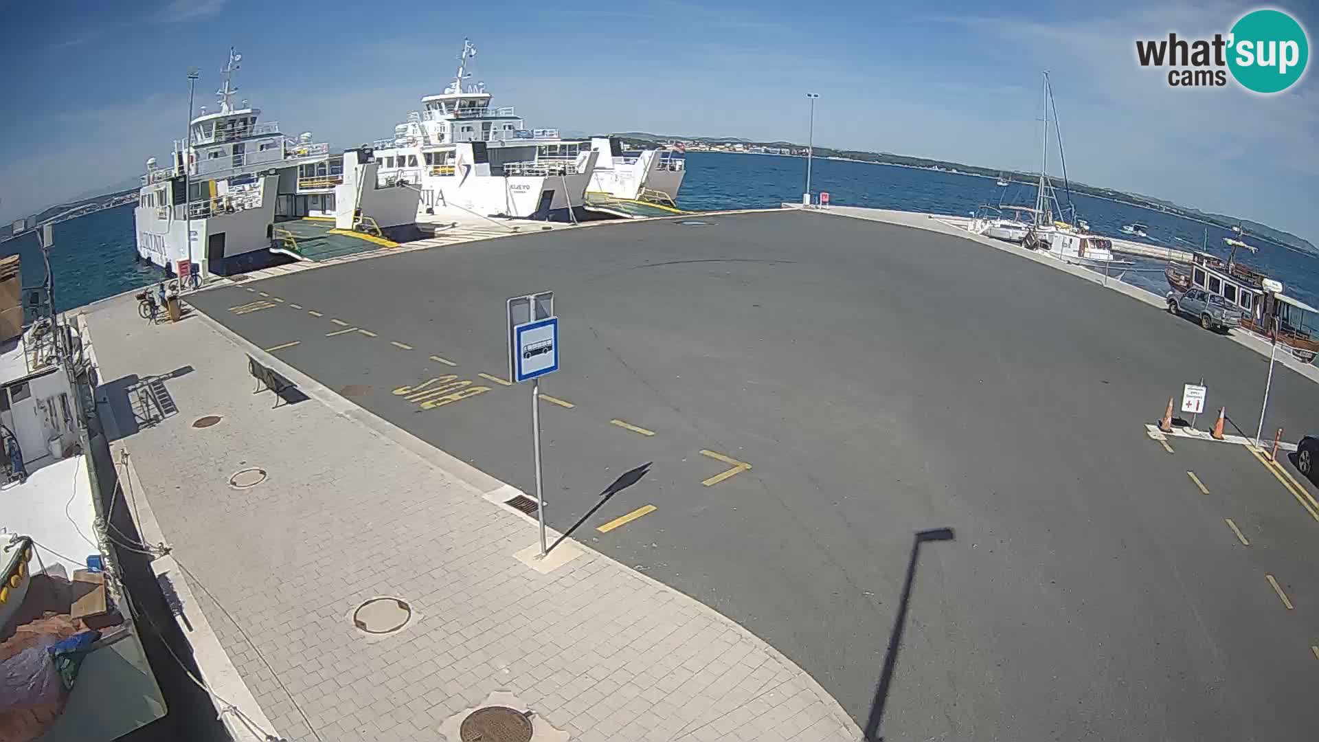 Tkon camera en vivo – Transportar – Dalmacia – Croacia