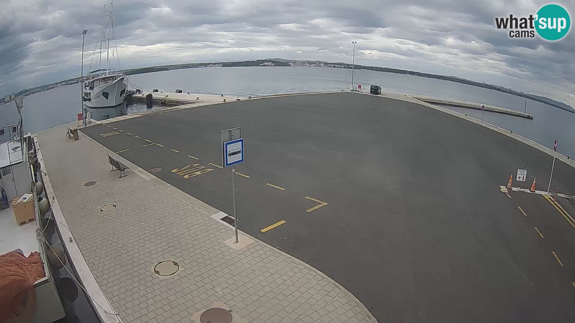 Tkon v živo – trajekt – Dalmacija – Hrvaška