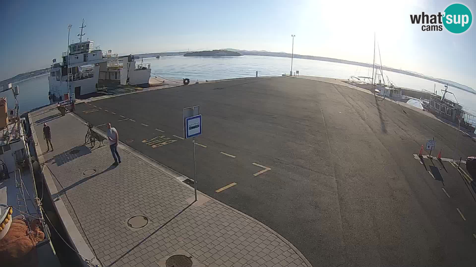Tkon camera en vivo – Transportar – Dalmacia – Croacia