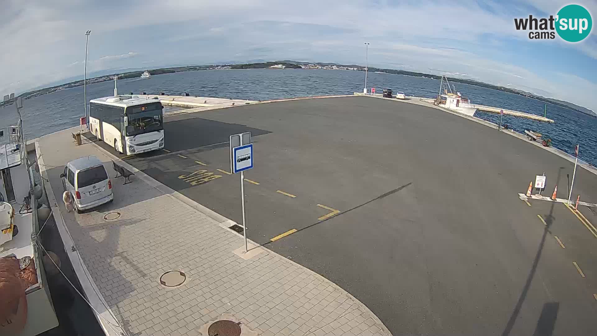 Tkon u živo – trajekt – Dalmacija
