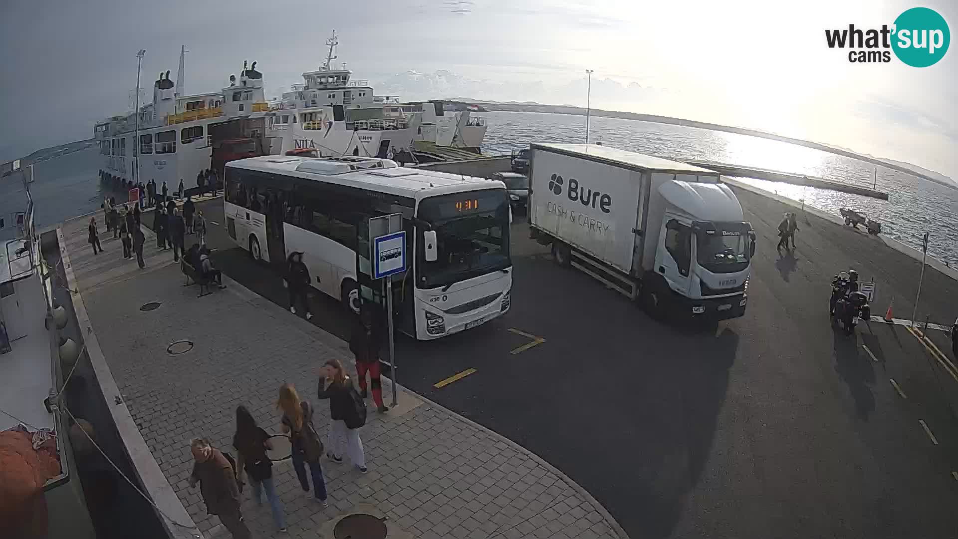 Tkon v živo – trajekt – Dalmacija – Hrvaška