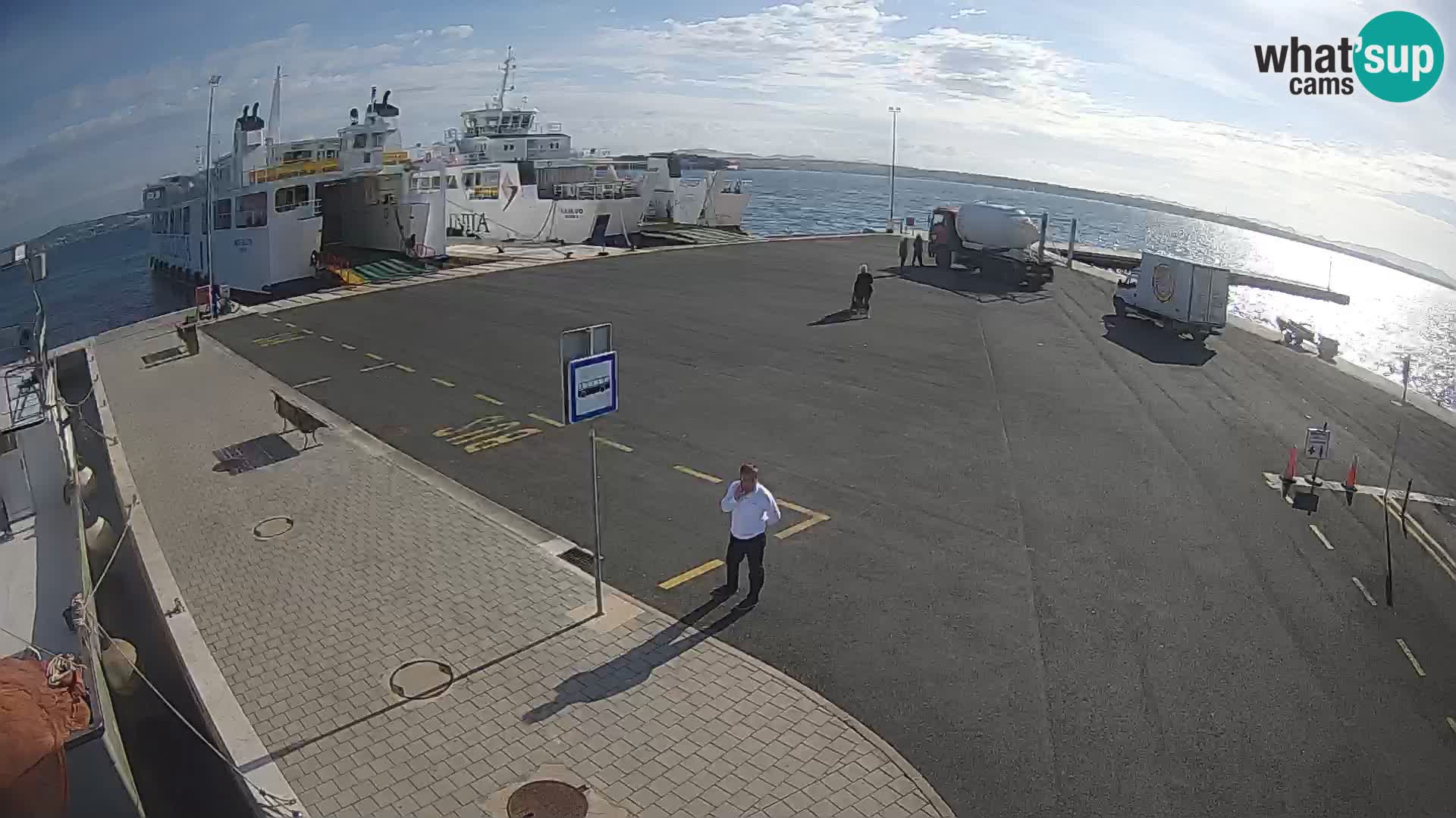 Tkon v živo – trajekt – Dalmacija – Hrvaška