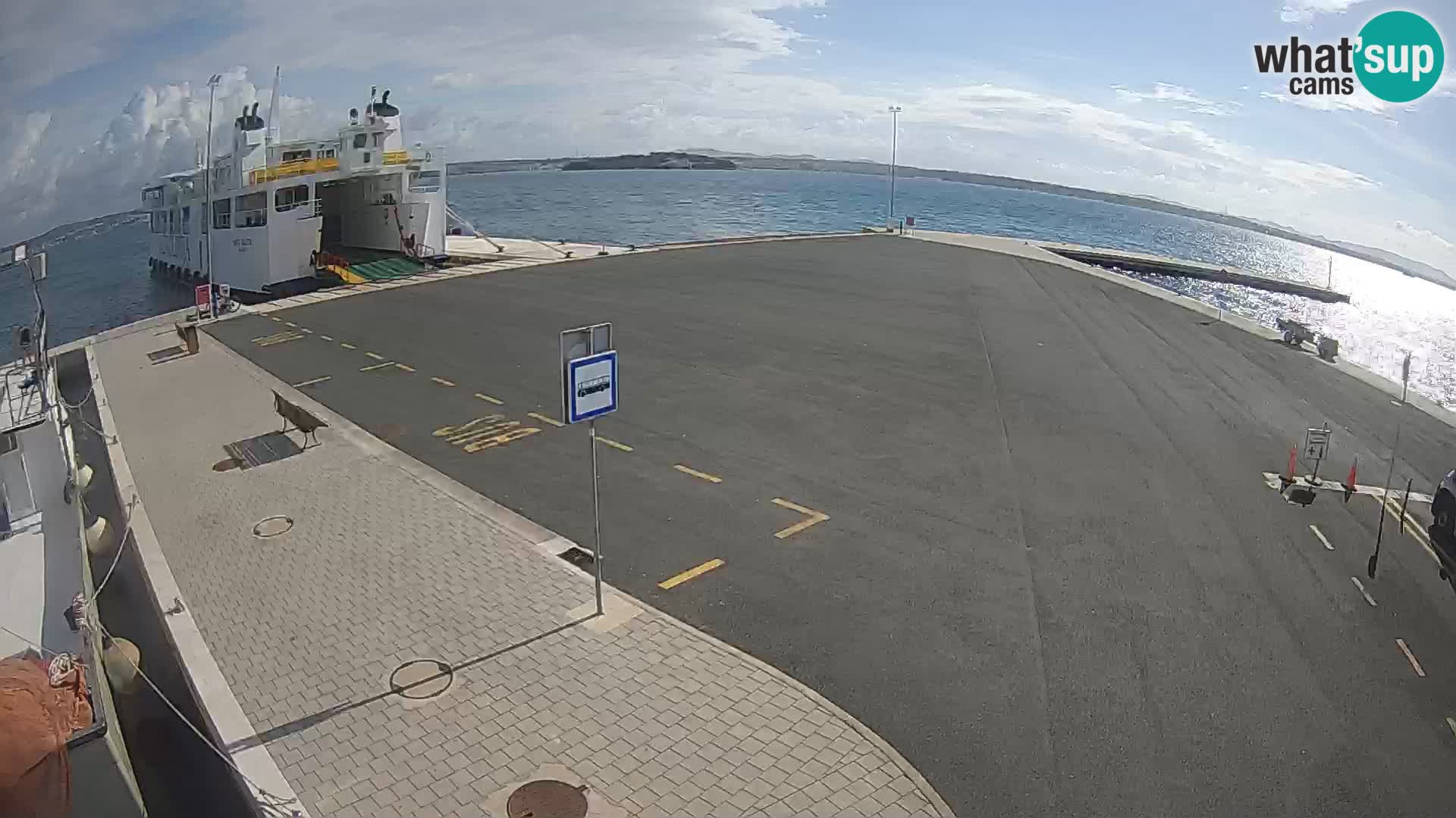 Tkon u živo – trajekt – Dalmacija