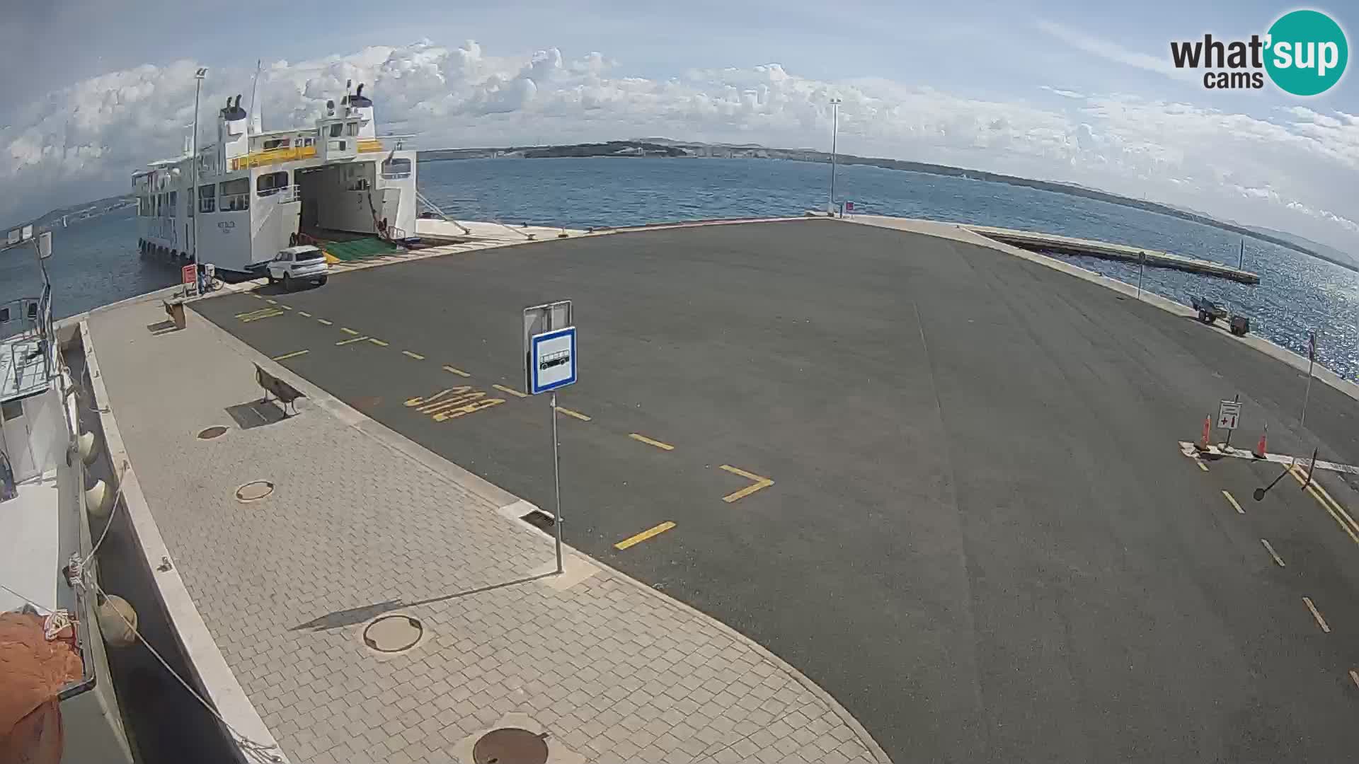 Tkon v živo – trajekt – Dalmacija – Hrvaška