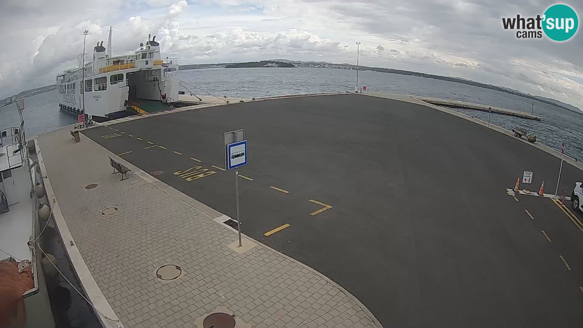 Tkon v živo – trajekt – Dalmacija – Hrvaška