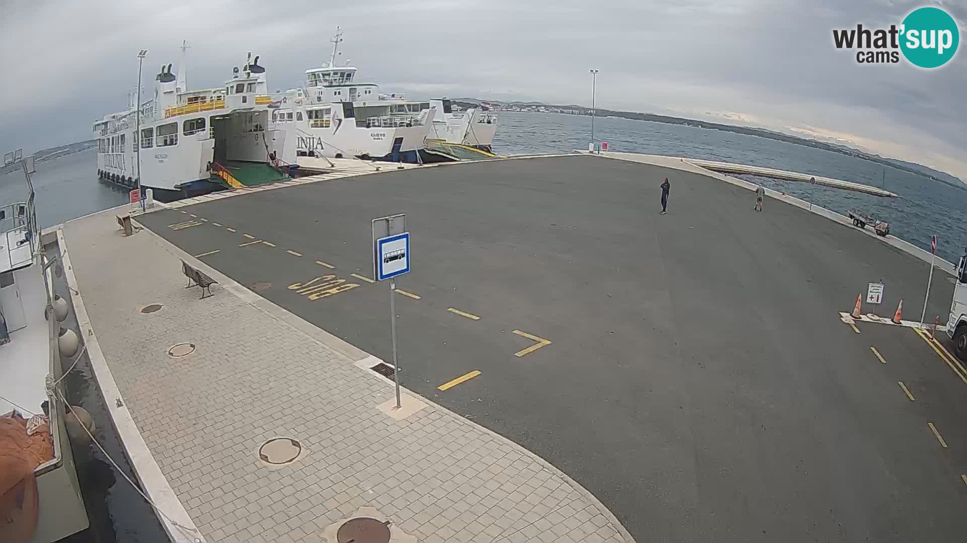 Tkon v živo – trajekt – Dalmacija – Hrvaška