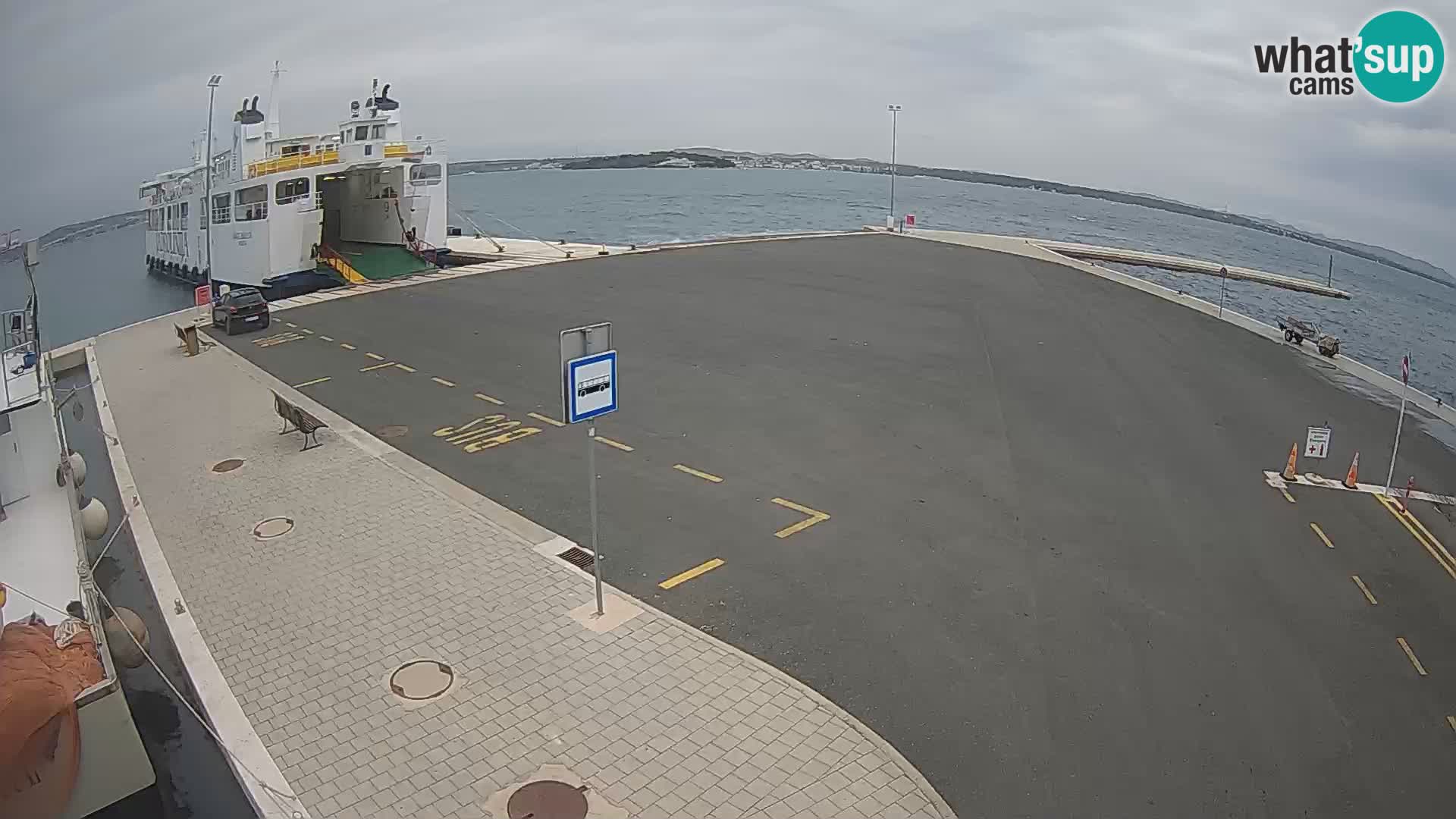 Tkon v živo – trajekt – Dalmacija – Hrvaška