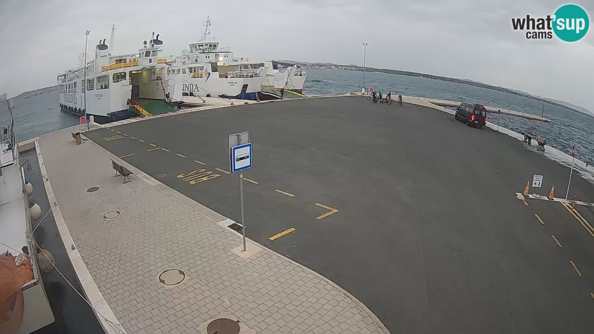 Tkon v živo – trajekt – Dalmacija – Hrvaška