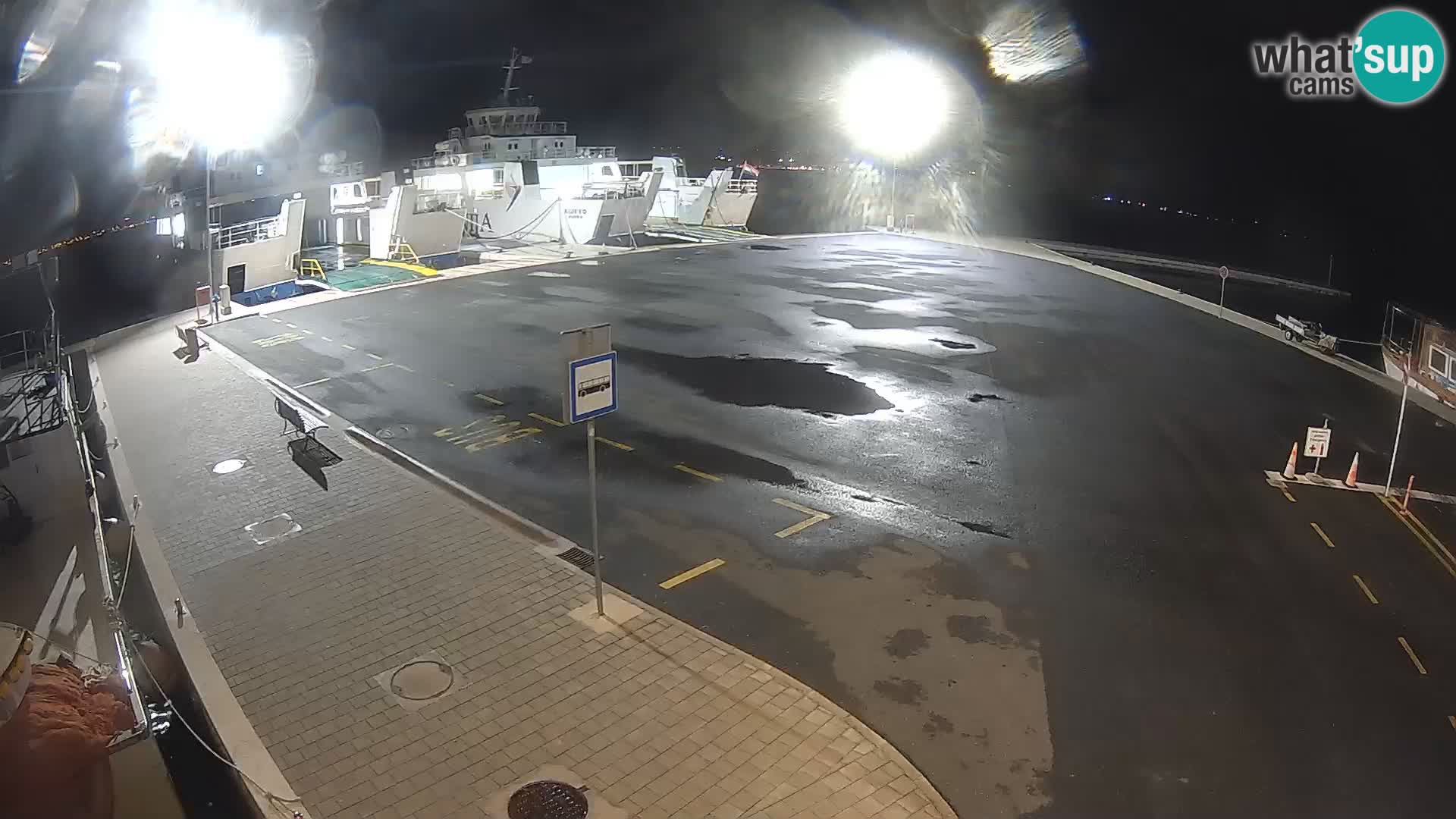 Tkon v živo – trajekt – Dalmacija – Hrvaška