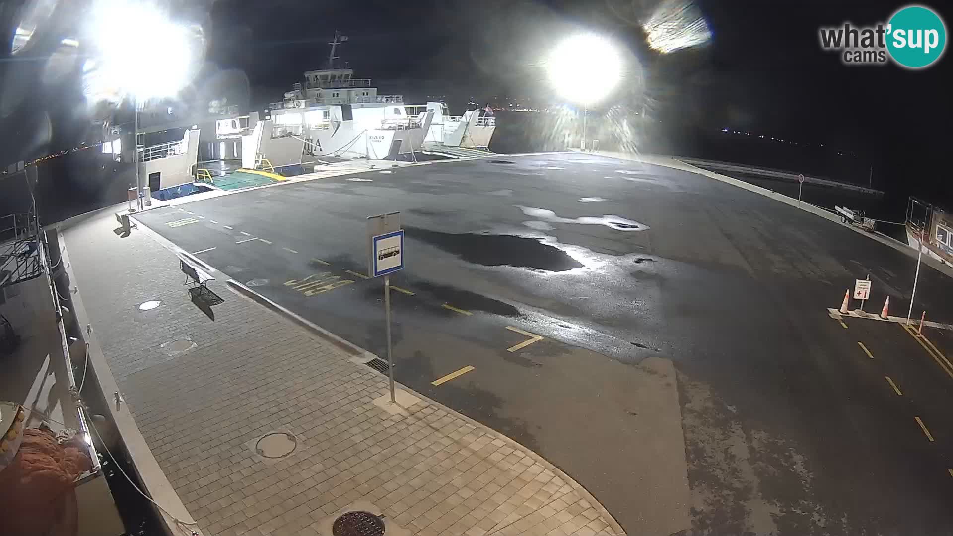 Tkon v živo – trajekt – Dalmacija – Hrvaška