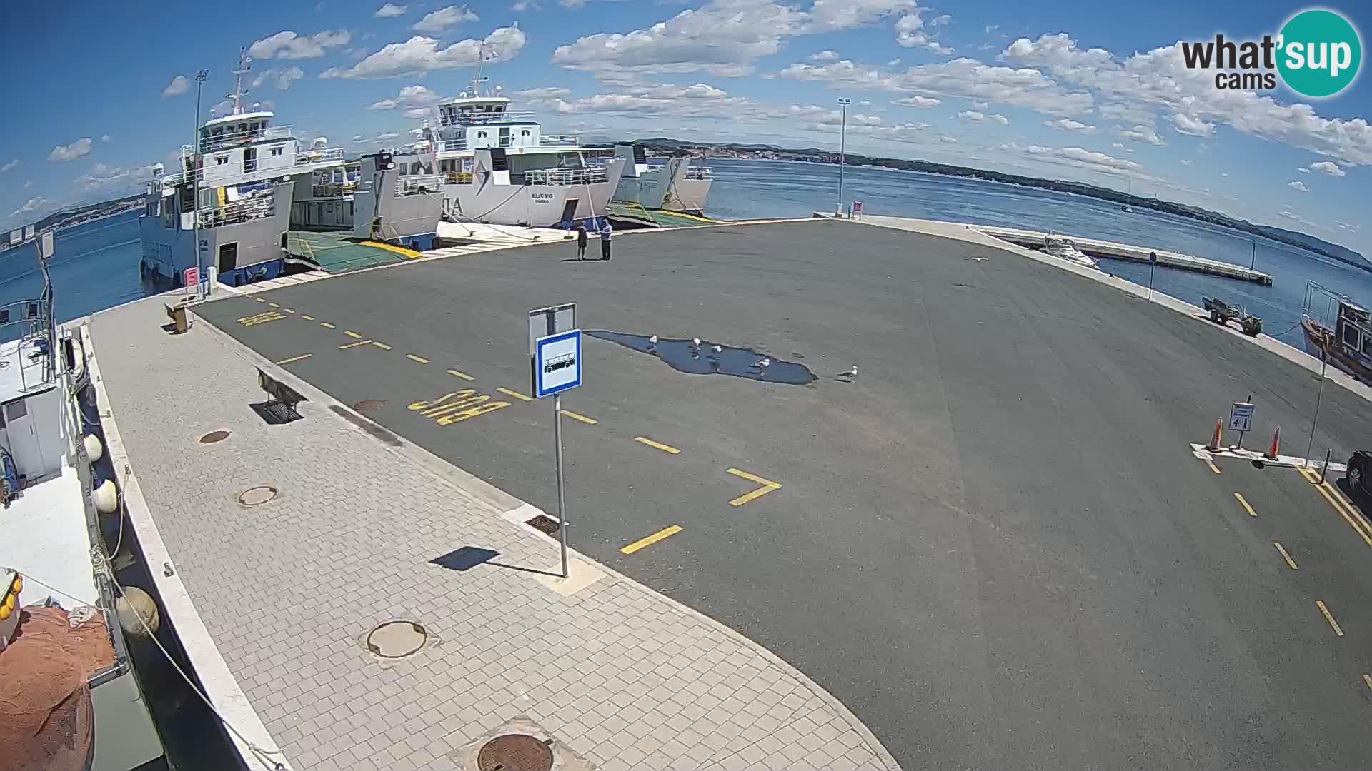 Tkon Live cam – Fähre – Dalmatien – Kroatien